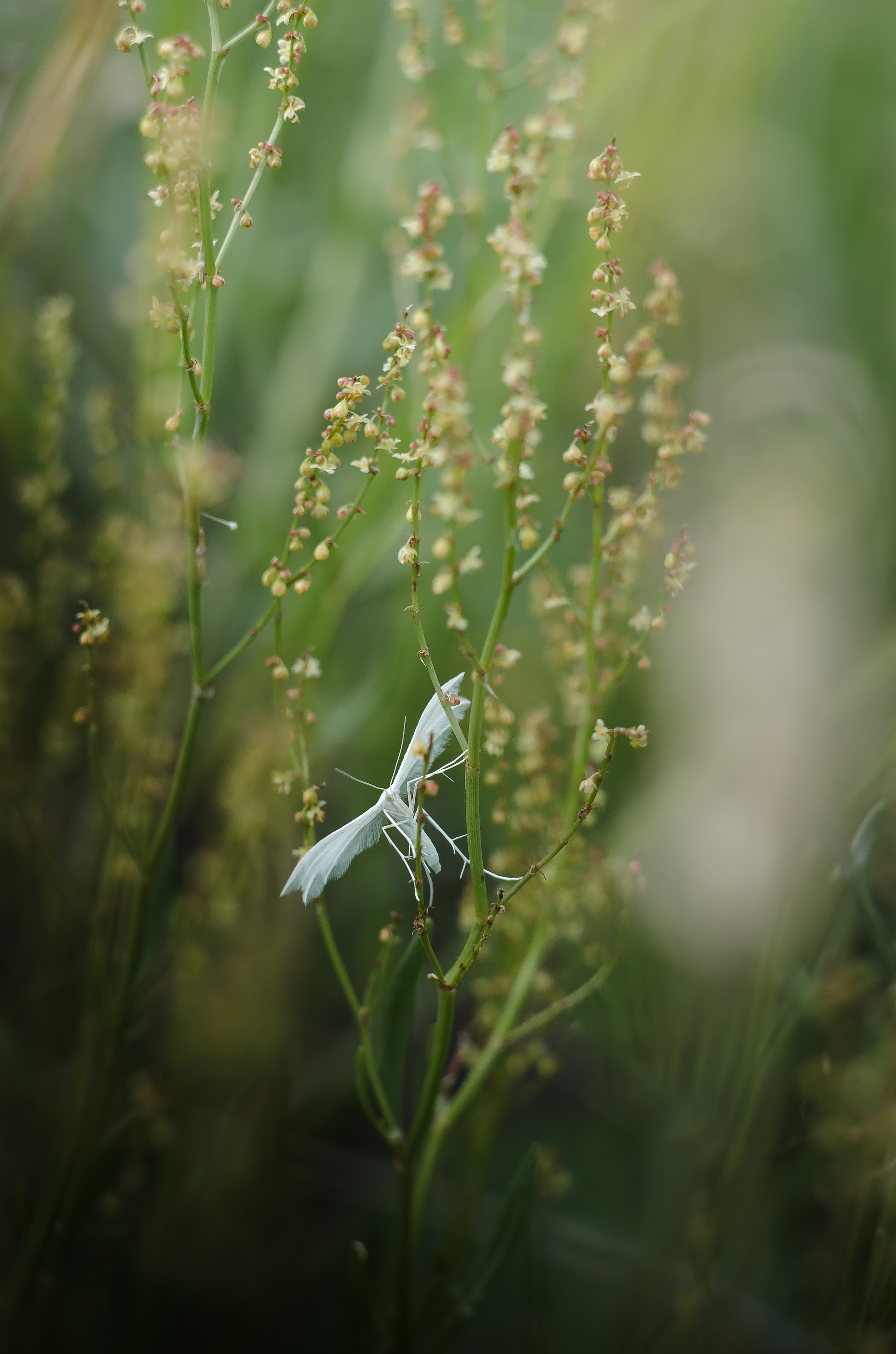 Природа. Фотограф Таинства Крещения в Саратове Ильченко Артем