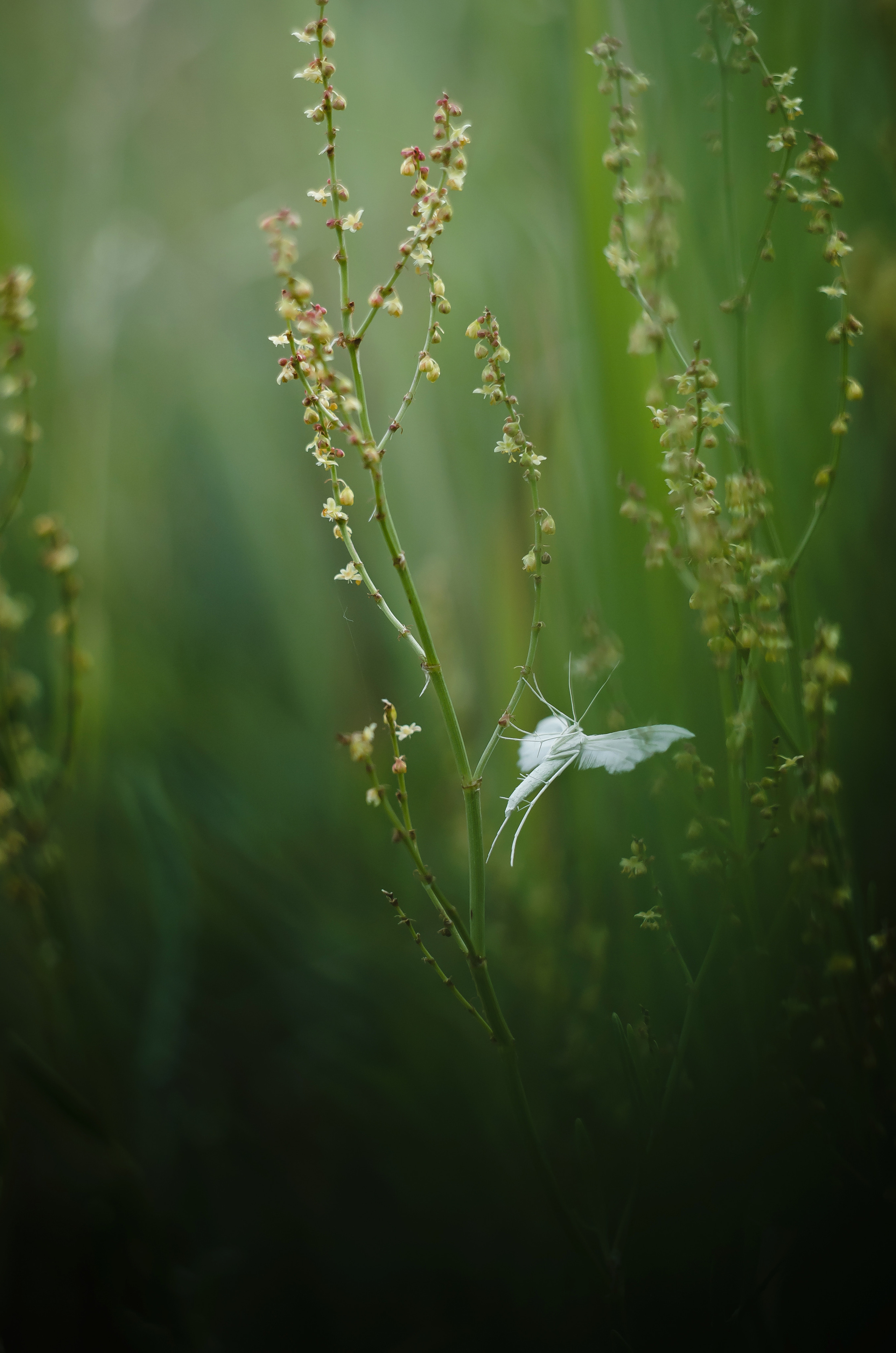 Природа. Фотограф Таинства Крещения в Саратове Ильченко Артем