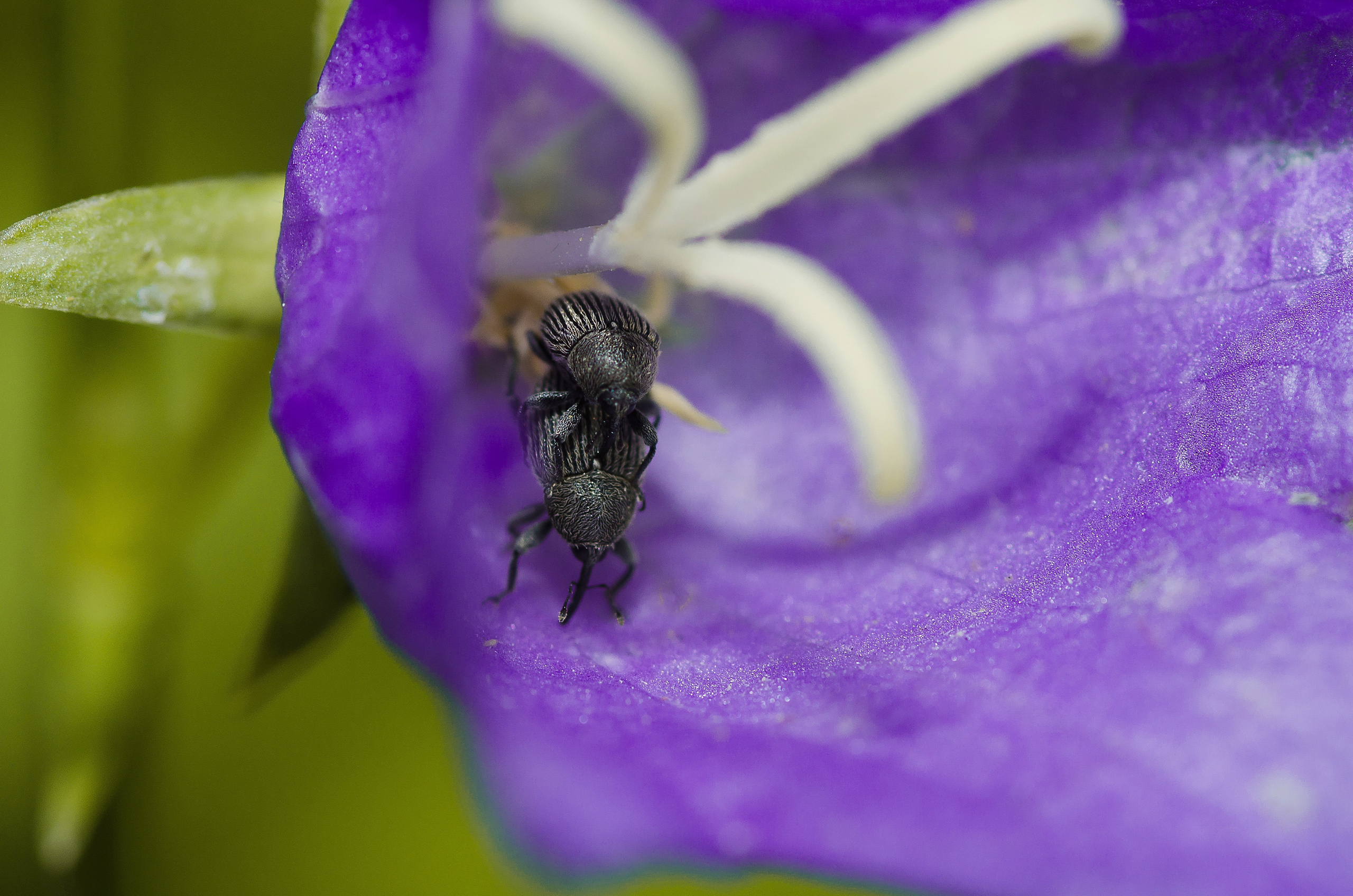 Природа. Фотограф Таинства Крещения в Саратове Ильченко Артем