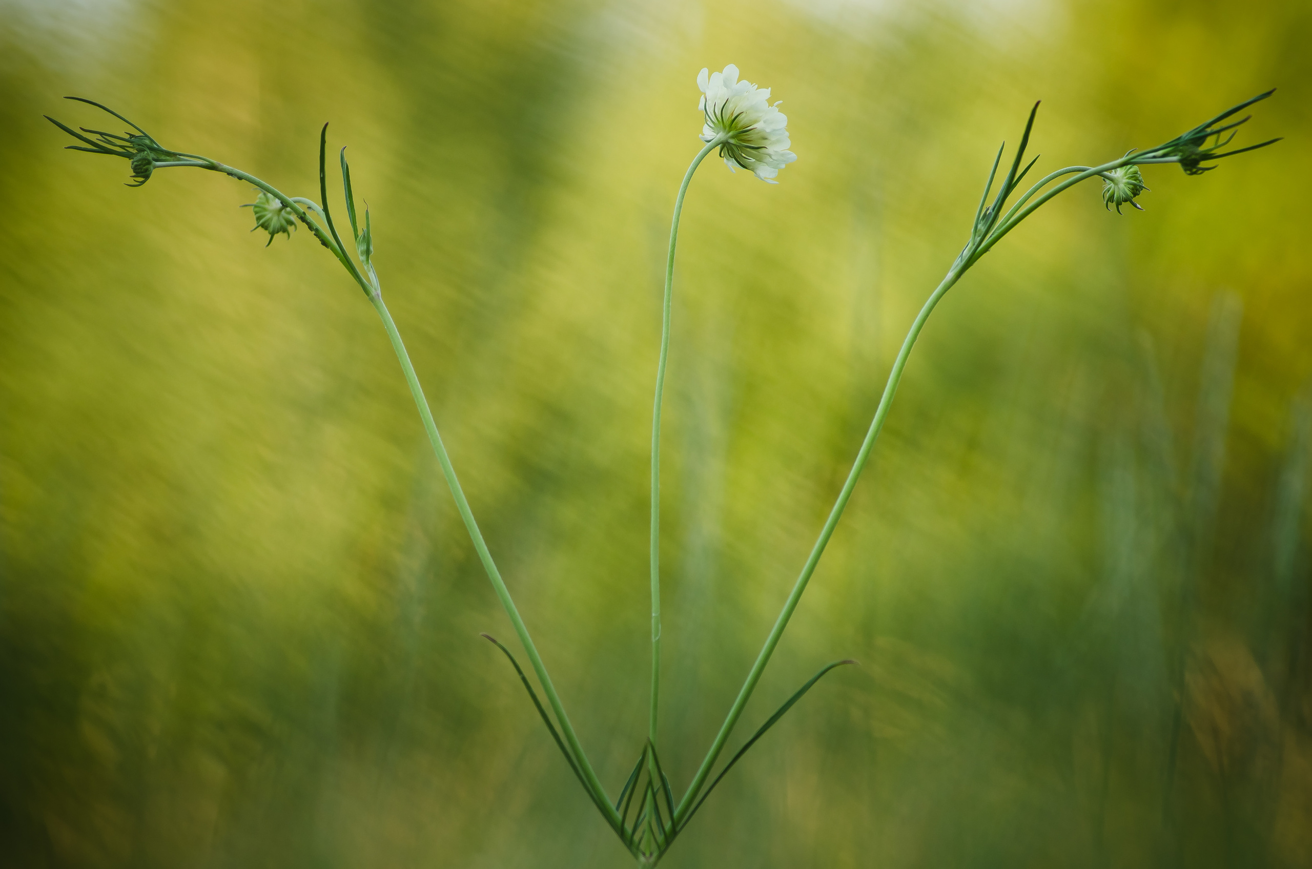 Природа. Фотограф Таинства Крещения в Саратове Ильченко Артем