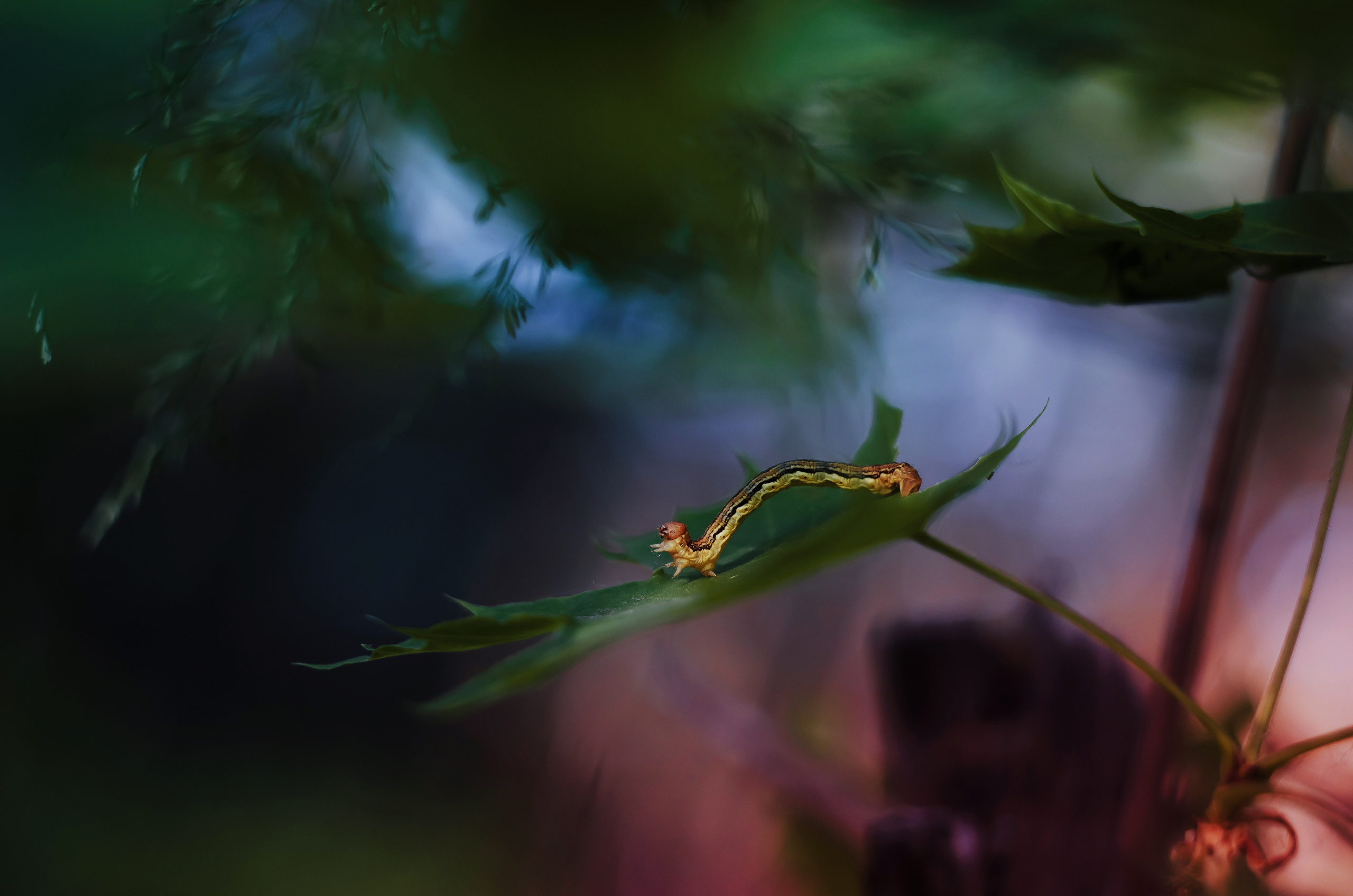 Природа. Фотограф Таинства Крещения в Саратове Ильченко Артем