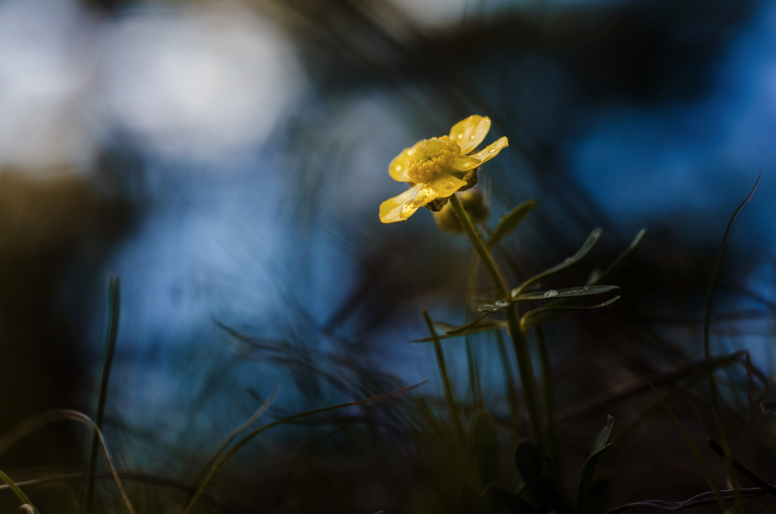 Природа. Фотограф Таинства Крещения в Саратове Ильченко Артем