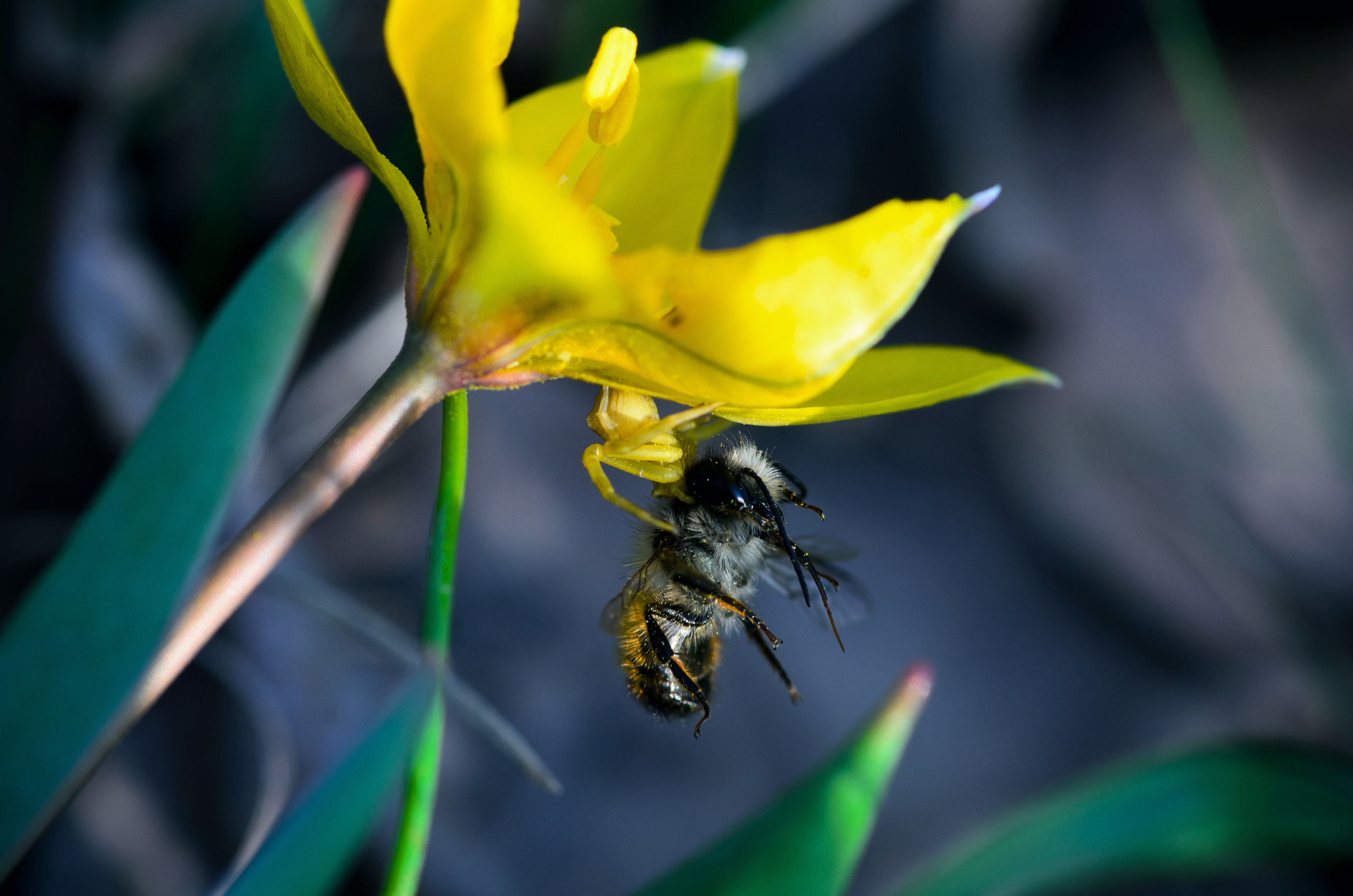 Природа. Фотограф Таинства Крещения в Саратове Ильченко Артем