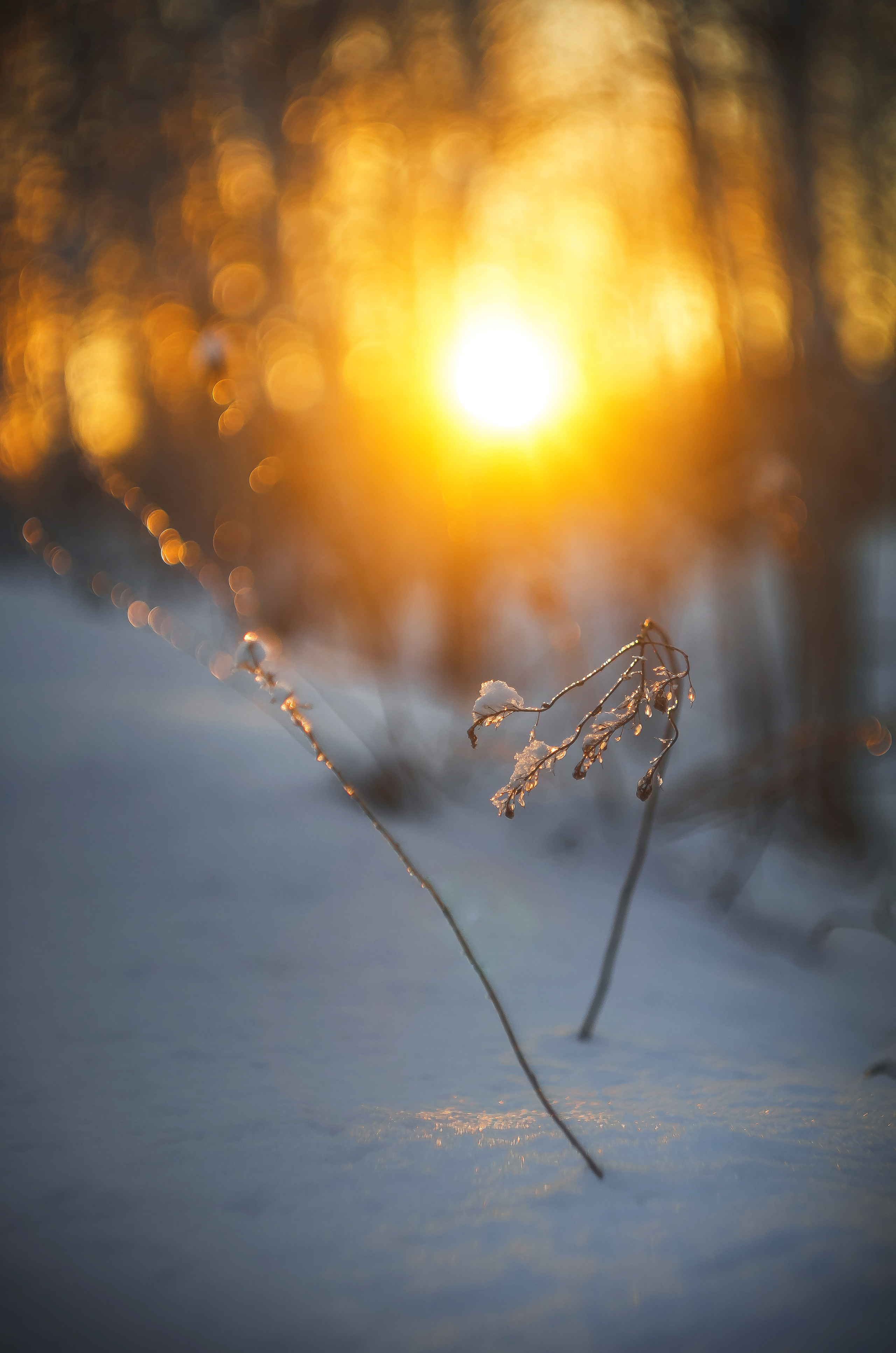 Природа. Фотограф Таинства Крещения в Саратове Ильченко Артем