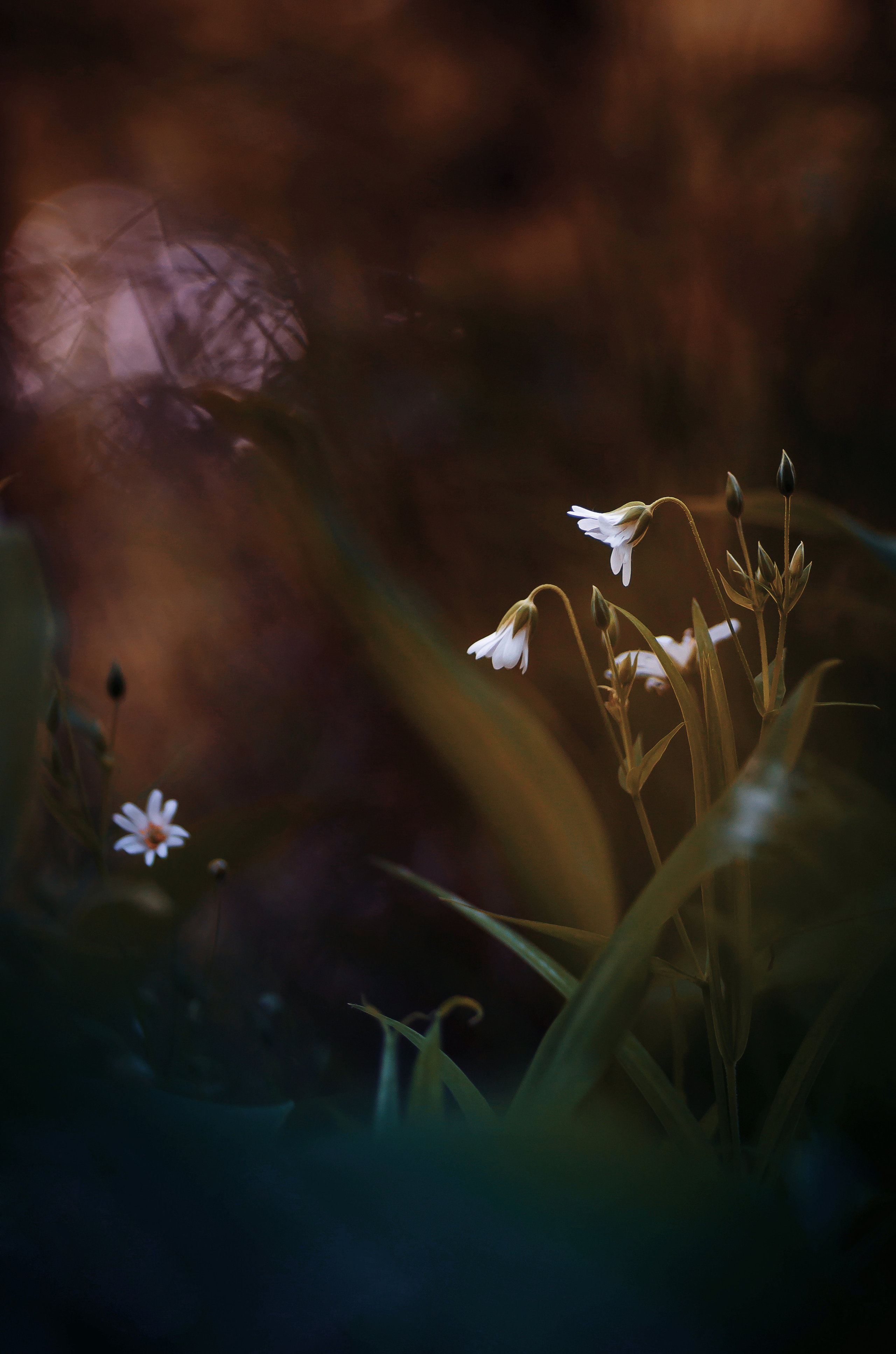 Природа. Фотограф Таинства Крещения в Саратове Ильченко Артем