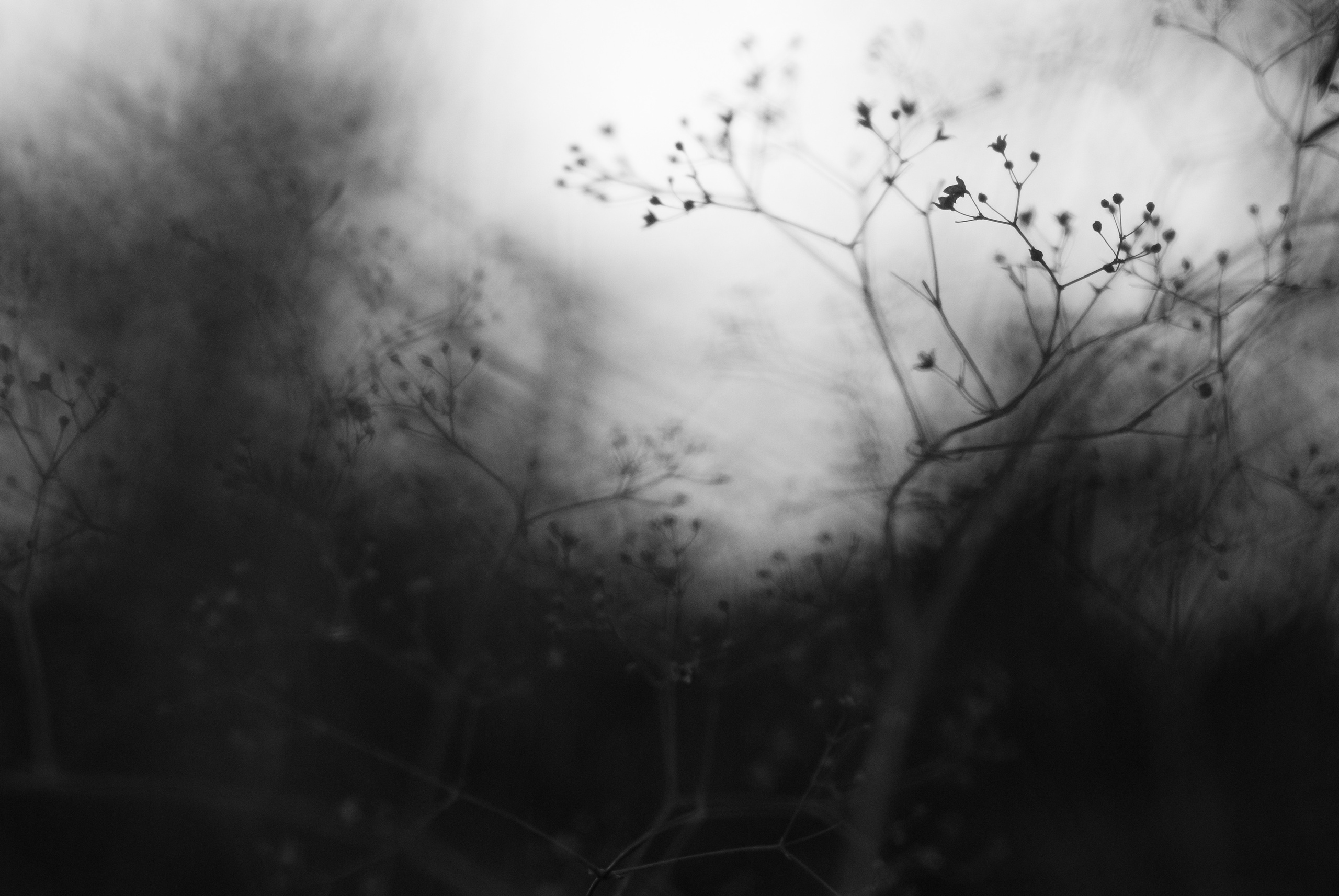 Природа. Фотограф Таинства Крещения в Саратове Ильченко Артем