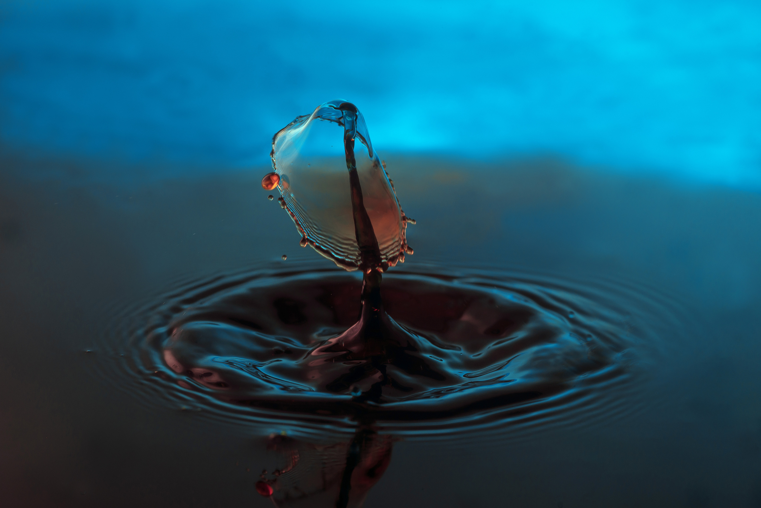 Liquid art. Фотограф Таинства Крещения в Саратове Ильченко Артем