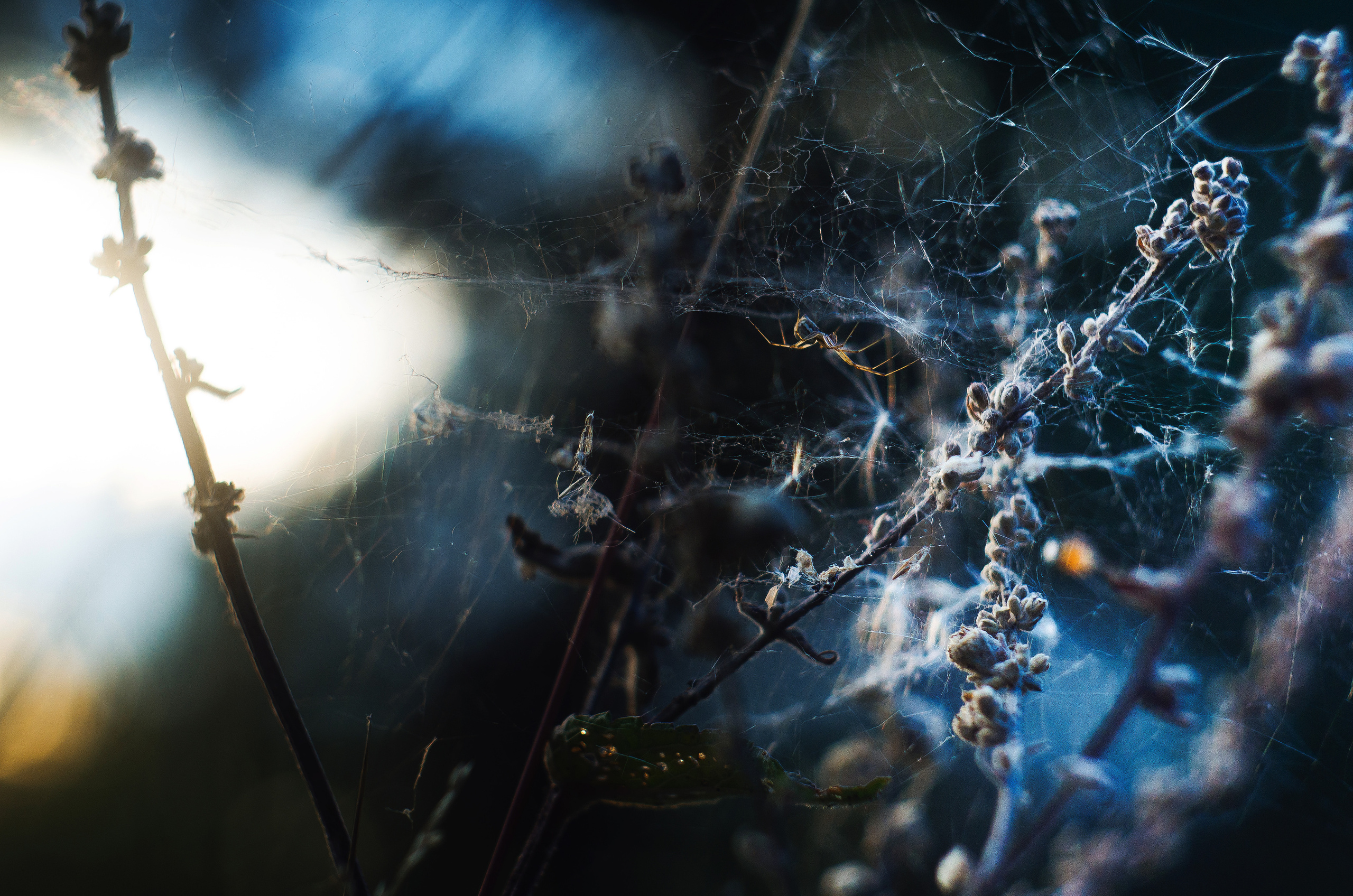 Природа. Фотограф Таинства Крещения в Саратове Ильченко Артем