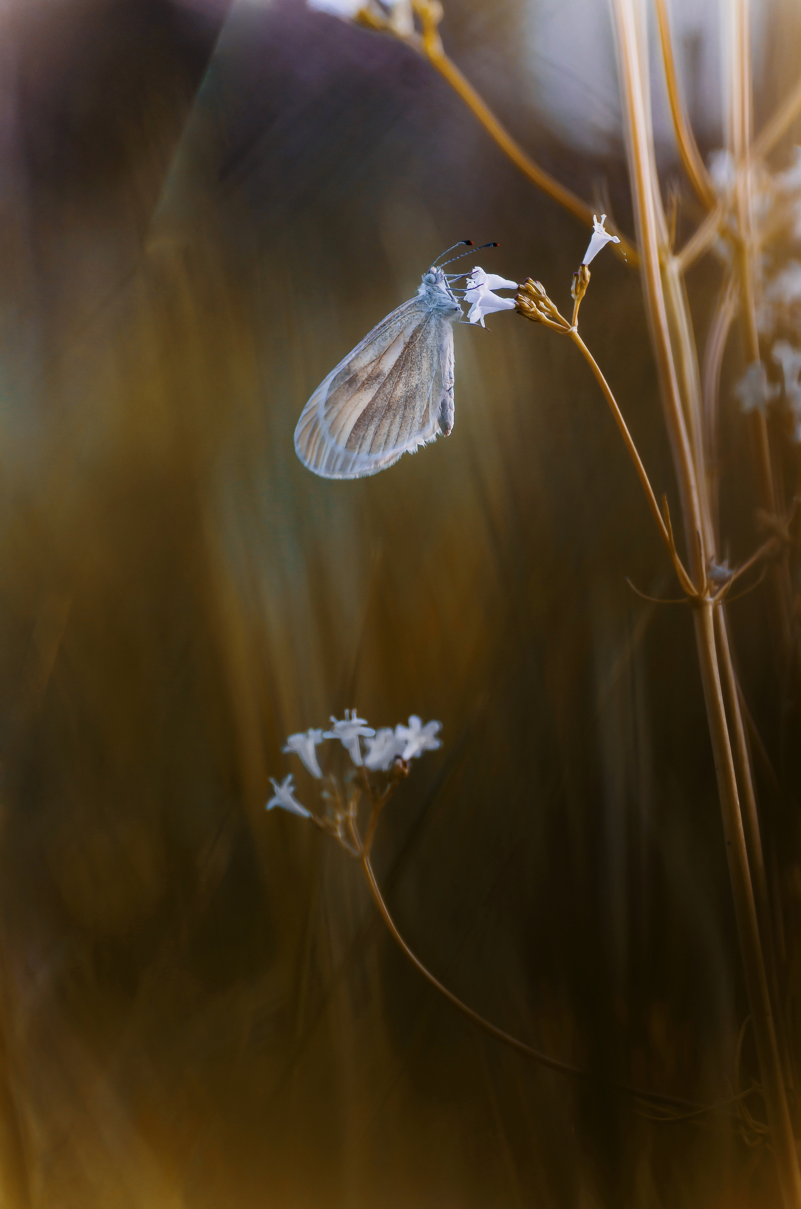 Природа. Фотограф Таинства Крещения в Саратове Ильченко Артем