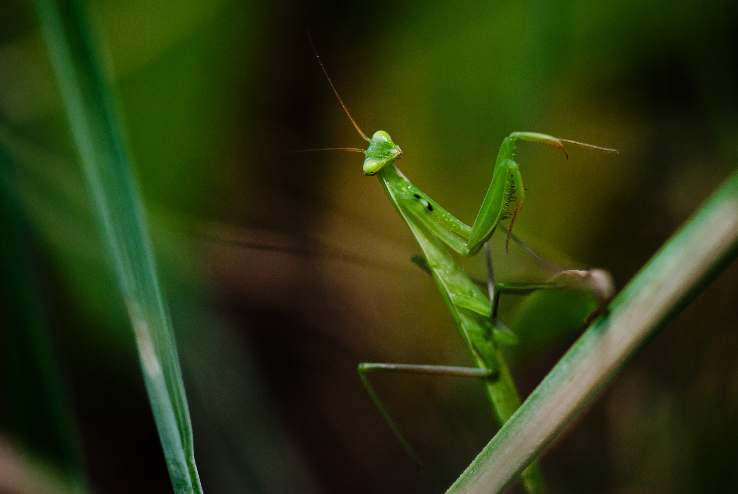 Природа. Фотограф Таинства Крещения в Саратове Ильченко Артем