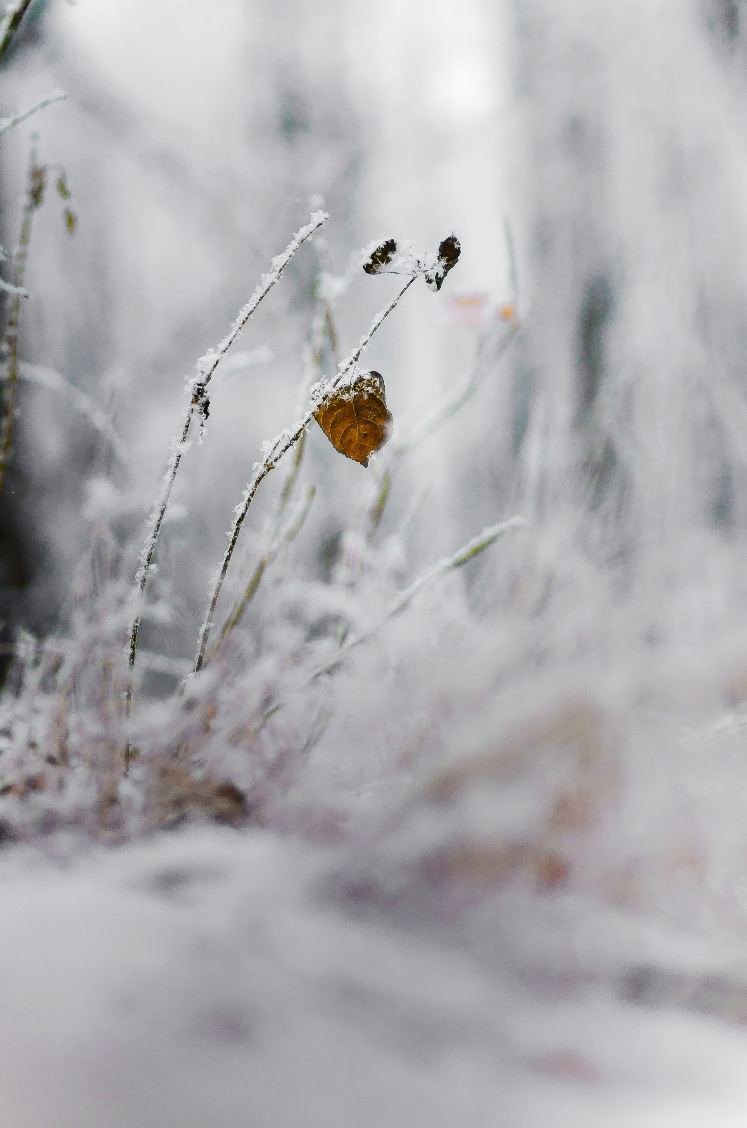 Природа. Фотограф Таинства Крещения в Саратове Ильченко Артем