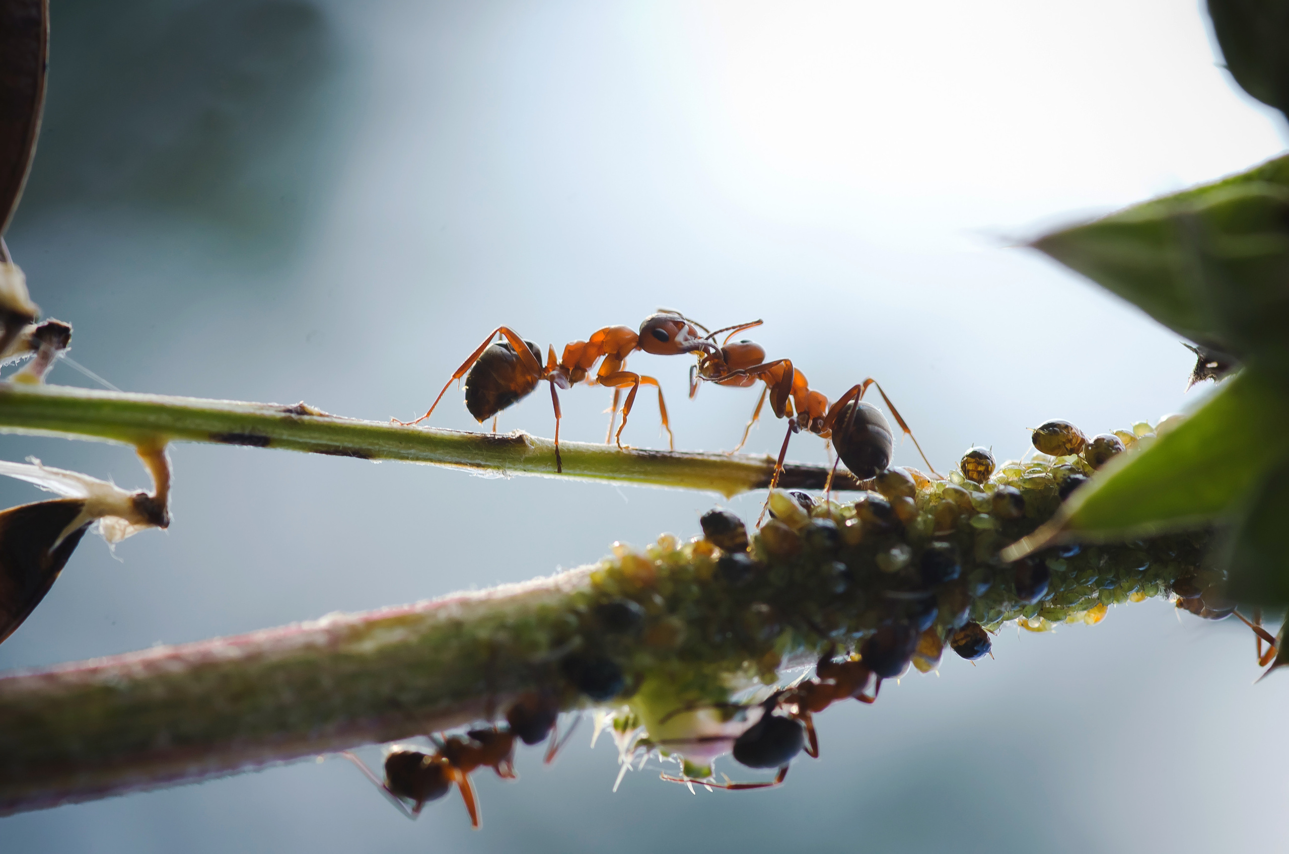 Природа. Фотограф Таинства Крещения в Саратове Ильченко Артем