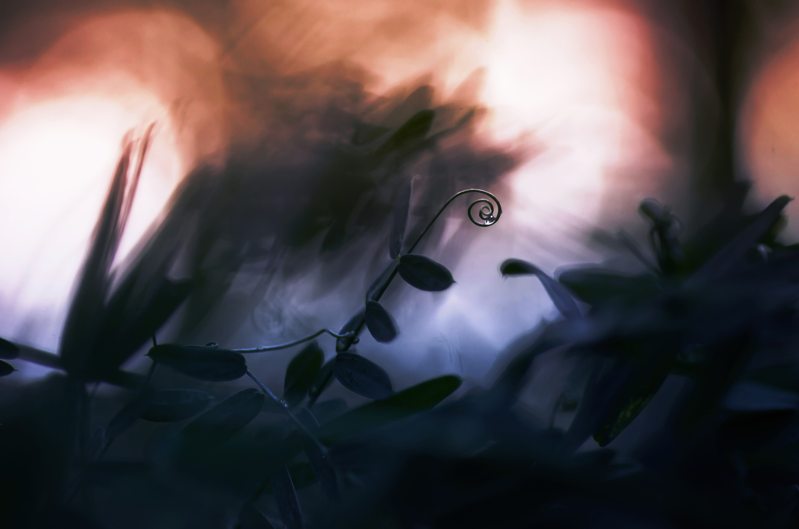 Природа. Фотограф Таинства Крещения в Саратове Ильченко Артем