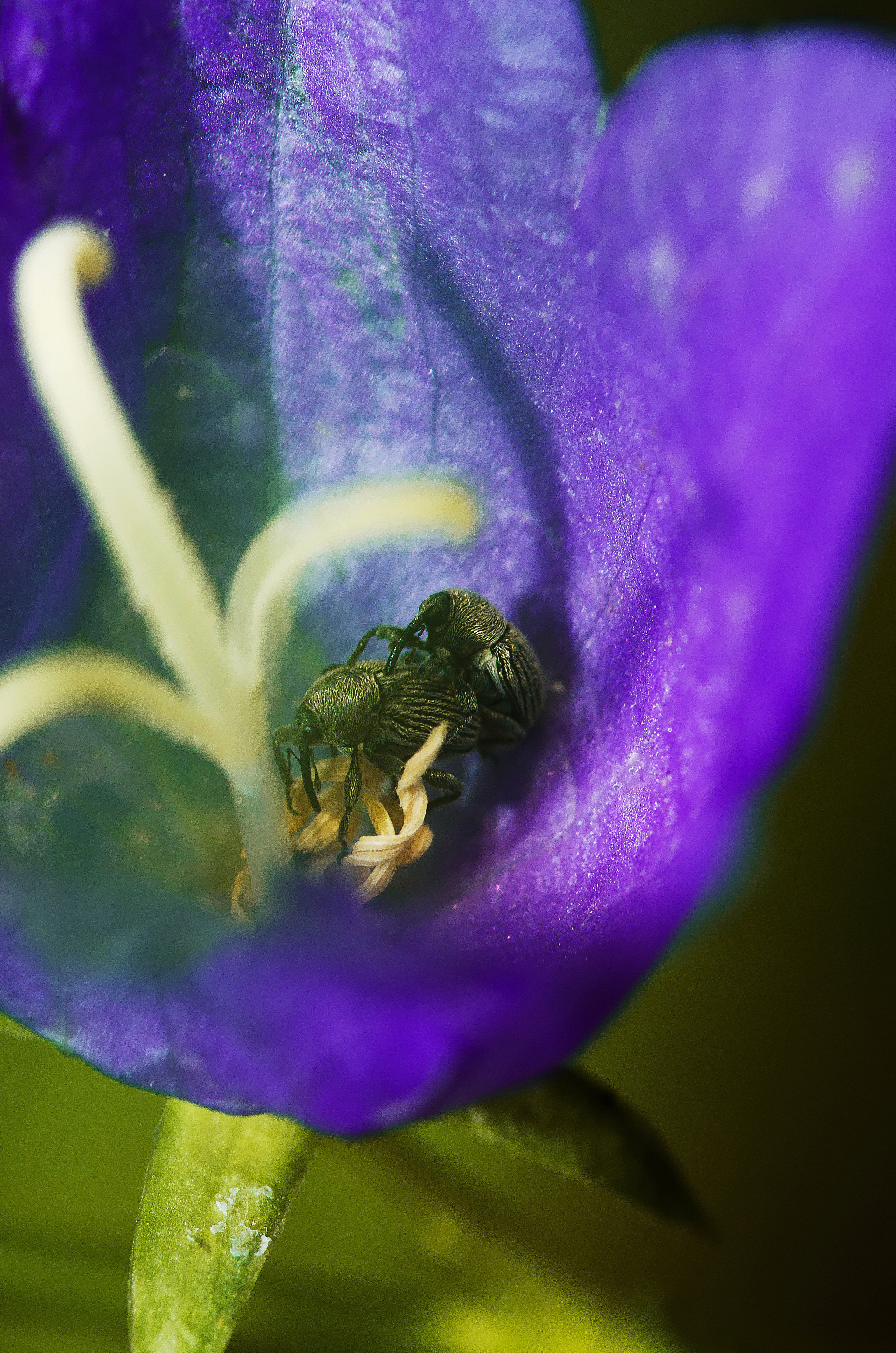 Природа. Фотограф Таинства Крещения в Саратове Ильченко Артем