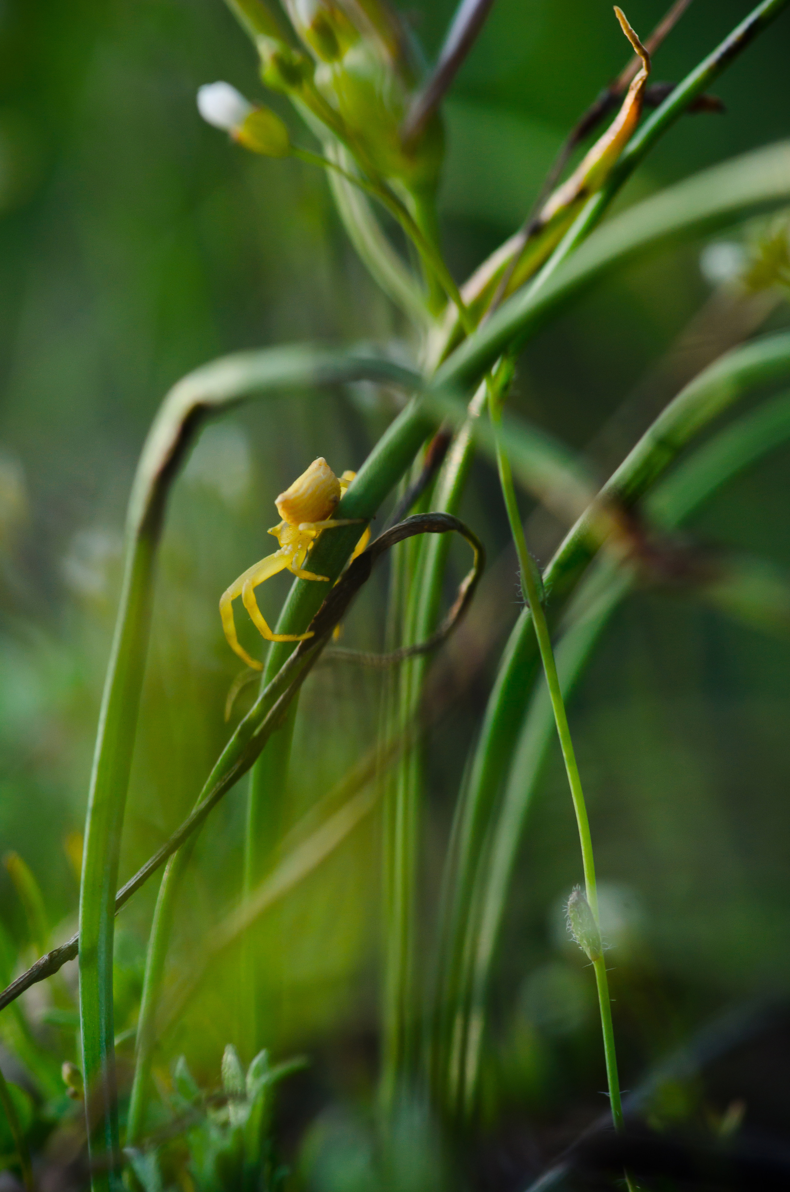 Природа. Фотограф Таинства Крещения в Саратове Ильченко Артем