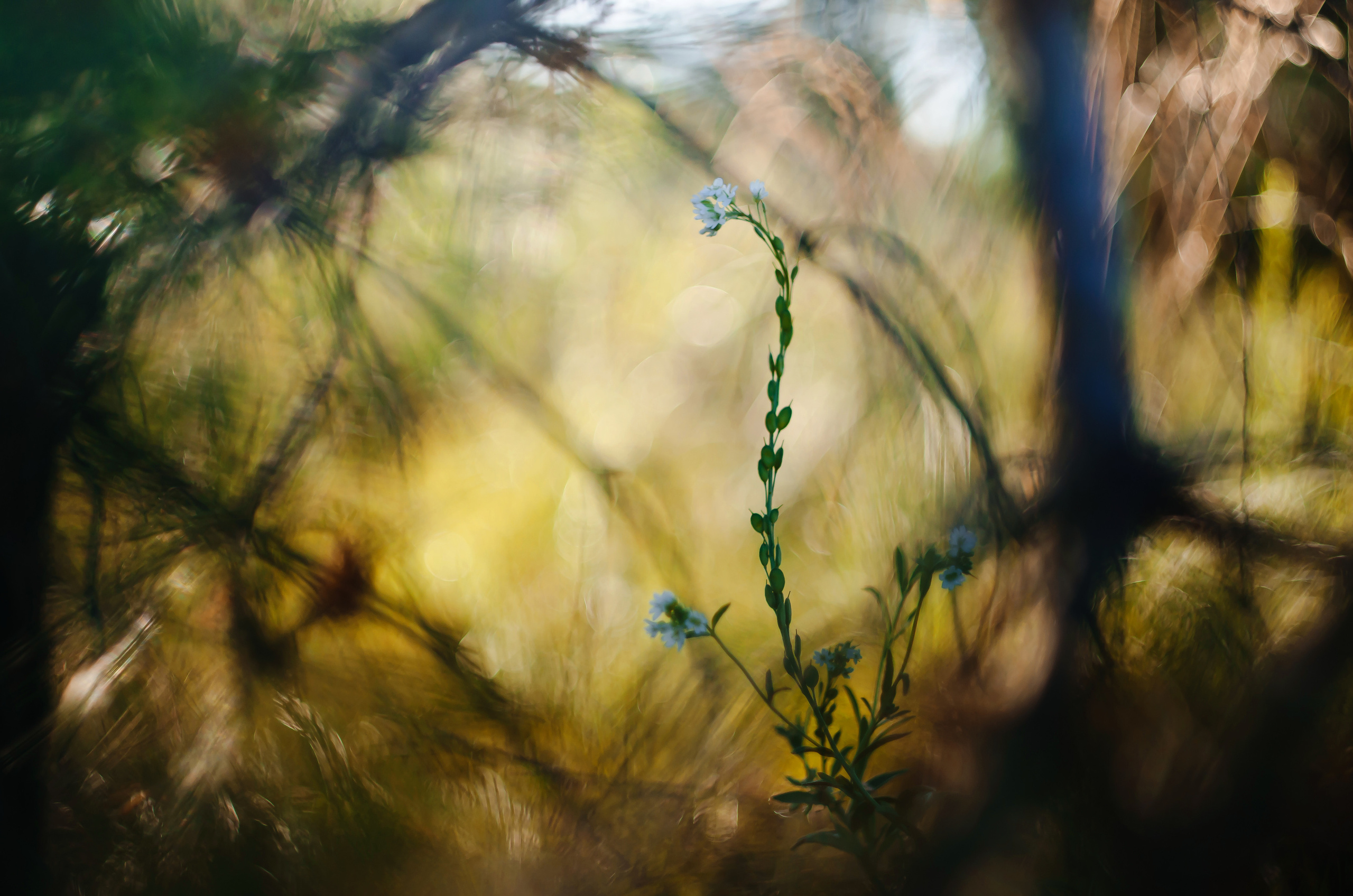 Природа. Фотограф Таинства Крещения в Саратове Ильченко Артем