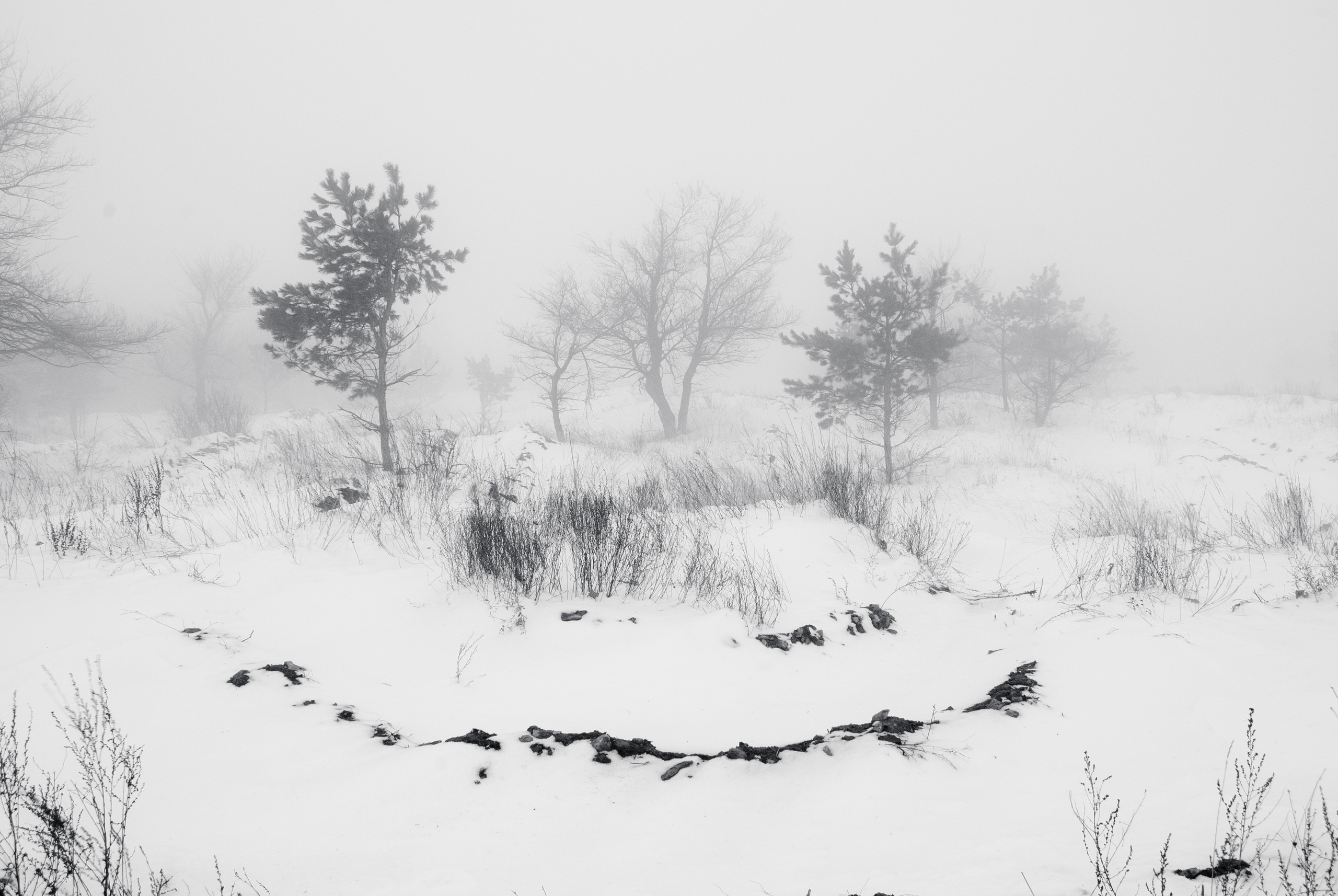 Природа. Фотограф Таинства Крещения в Саратове Ильченко Артем
