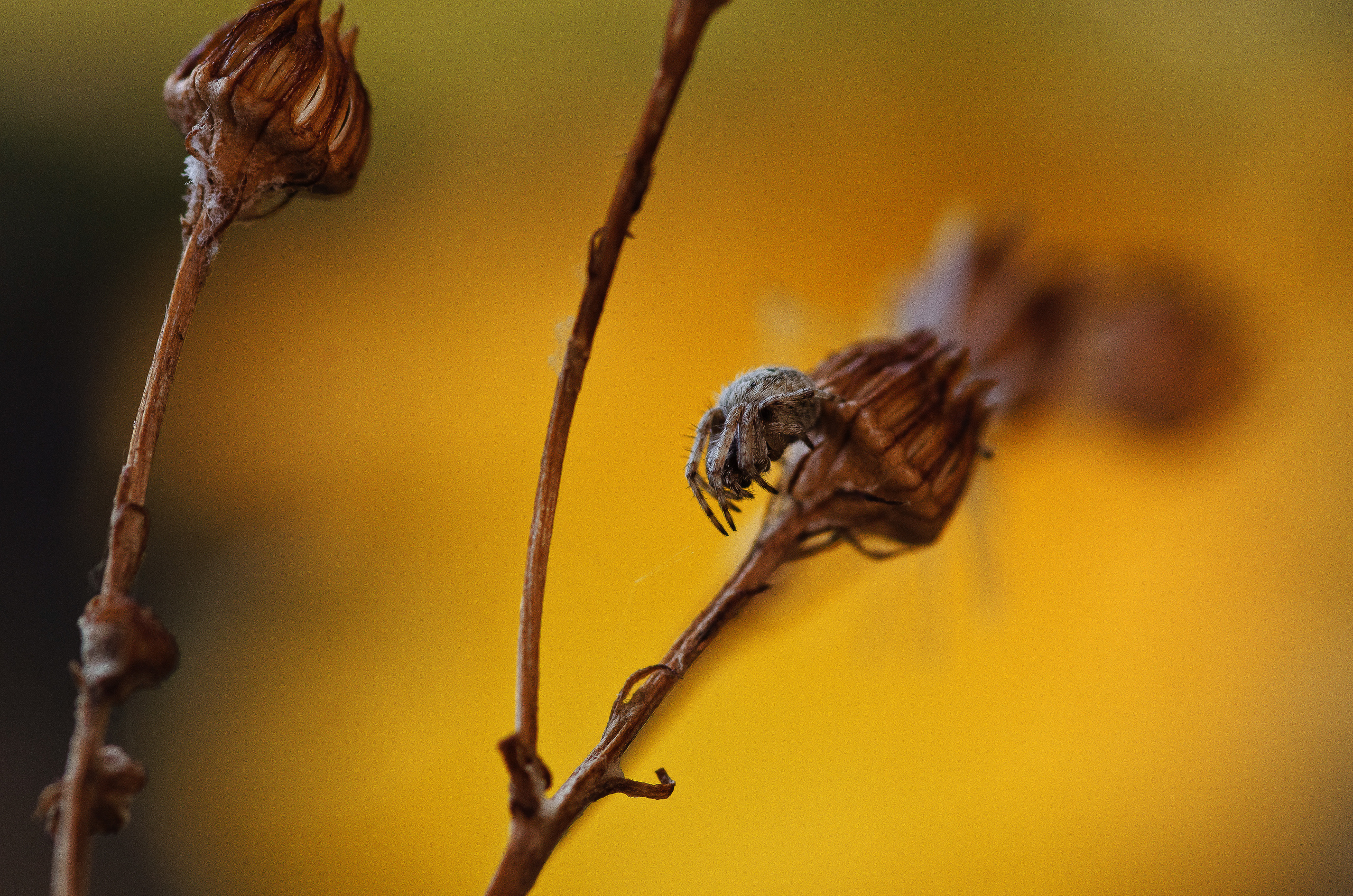 Природа. Фотограф Таинства Крещения в Саратове Ильченко Артем