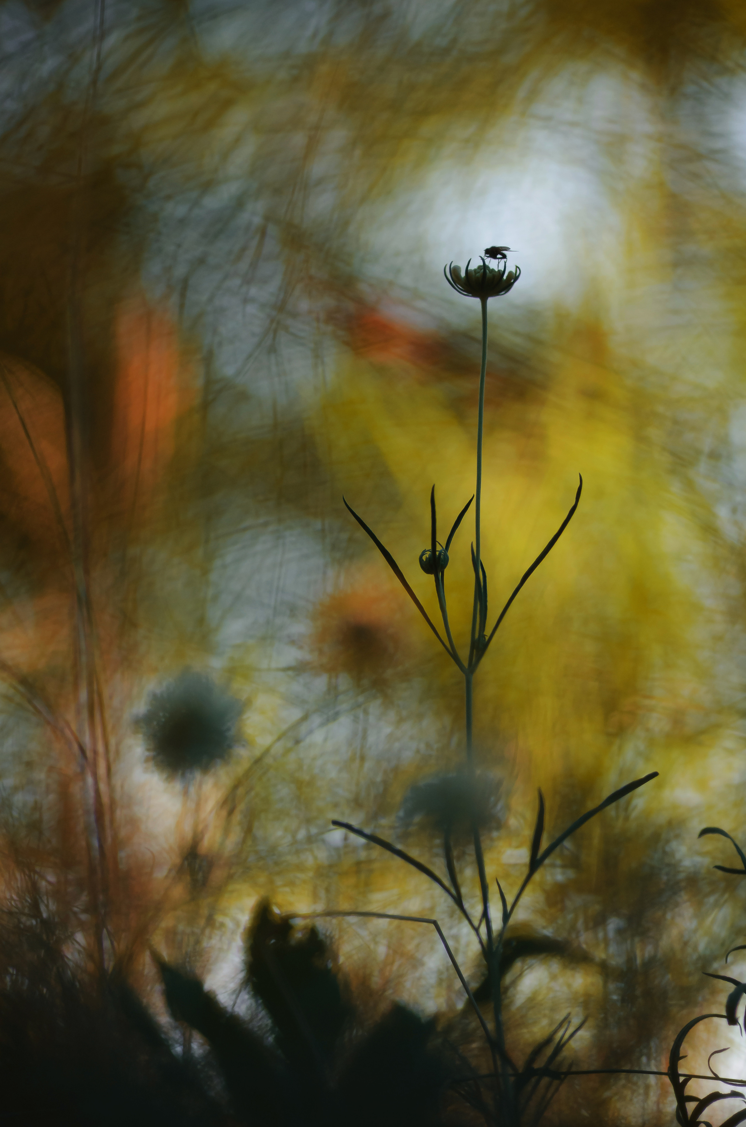 Природа. Фотограф Таинства Крещения в Саратове Ильченко Артем