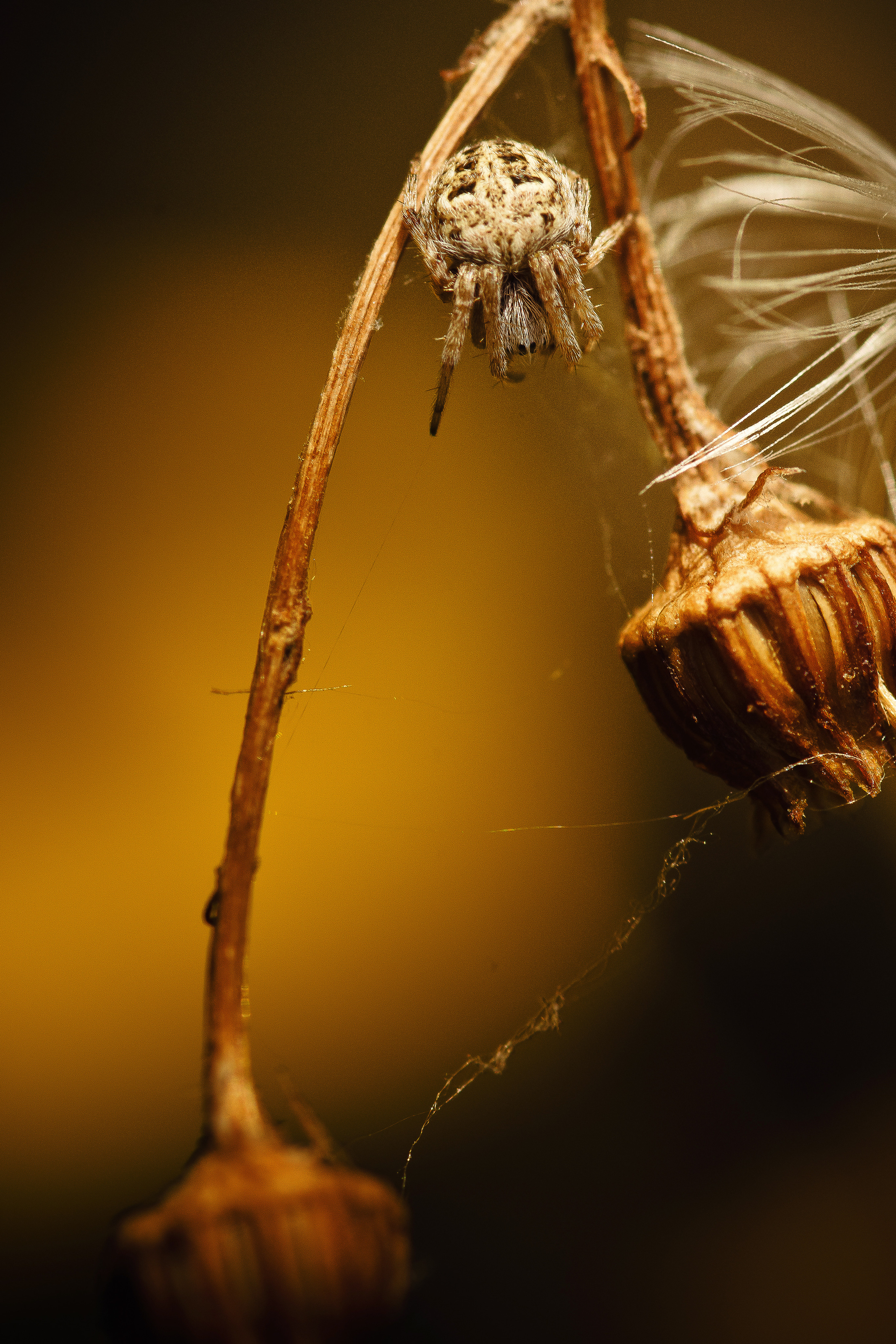 Природа. Фотограф Таинства Крещения в Саратове Ильченко Артем