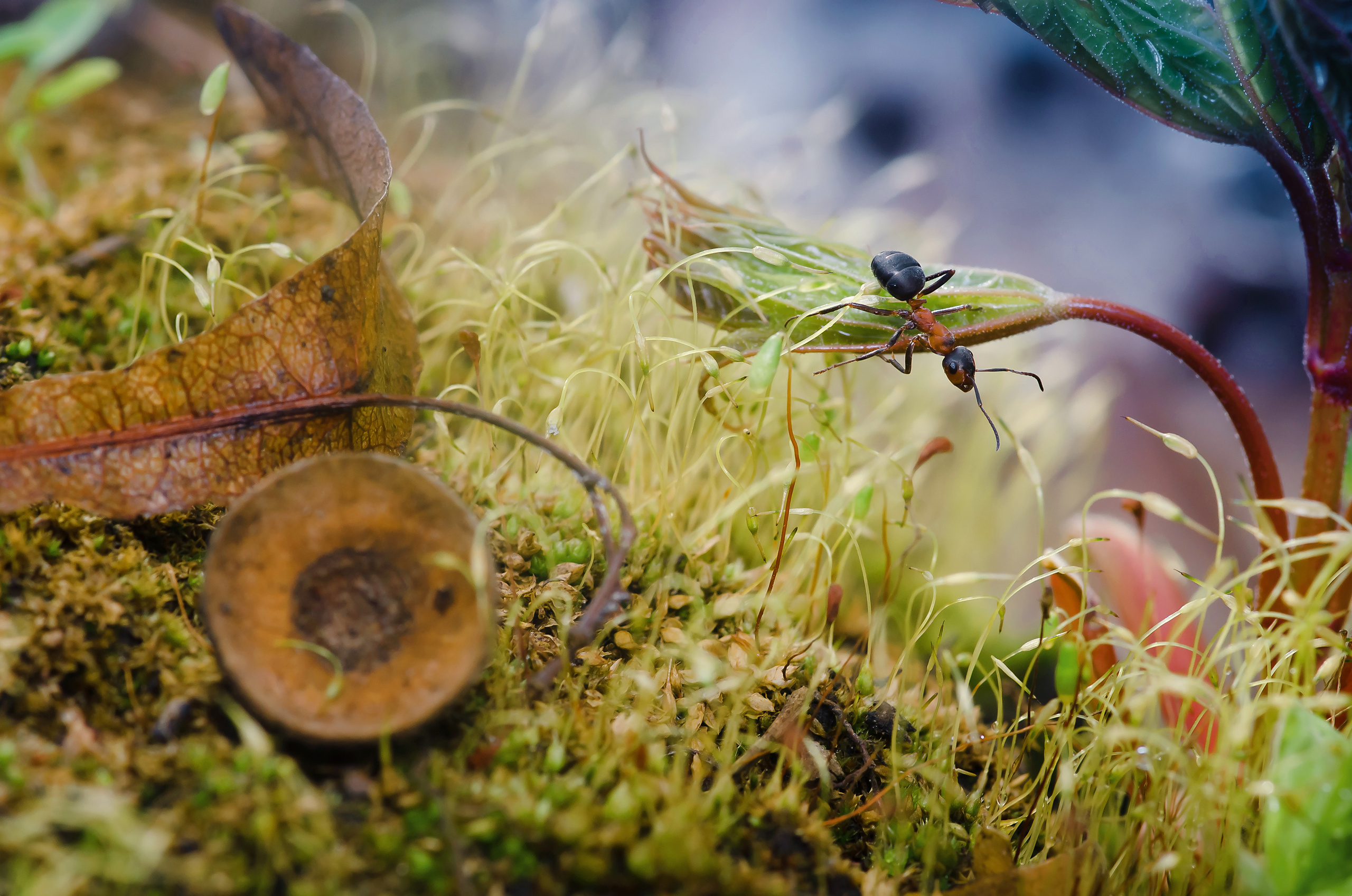 Природа. Фотограф Таинства Крещения в Саратове Ильченко Артем