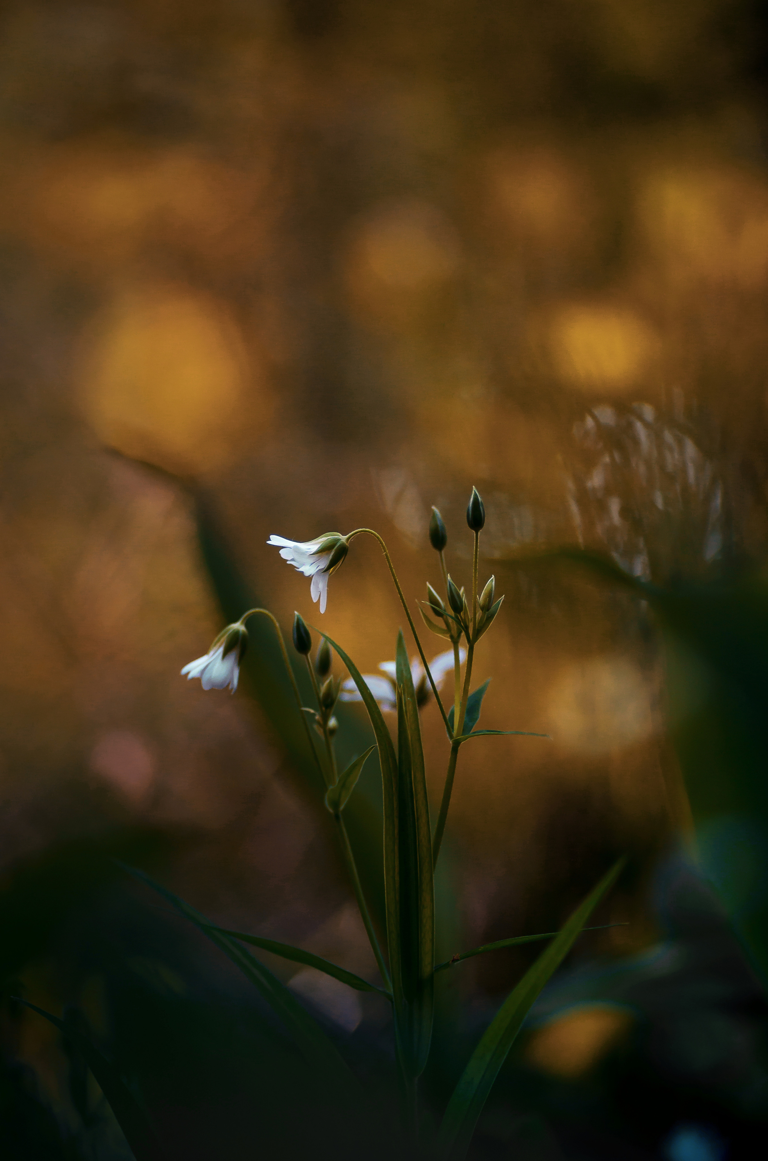 Природа. Фотограф Таинства Крещения в Саратове Ильченко Артем