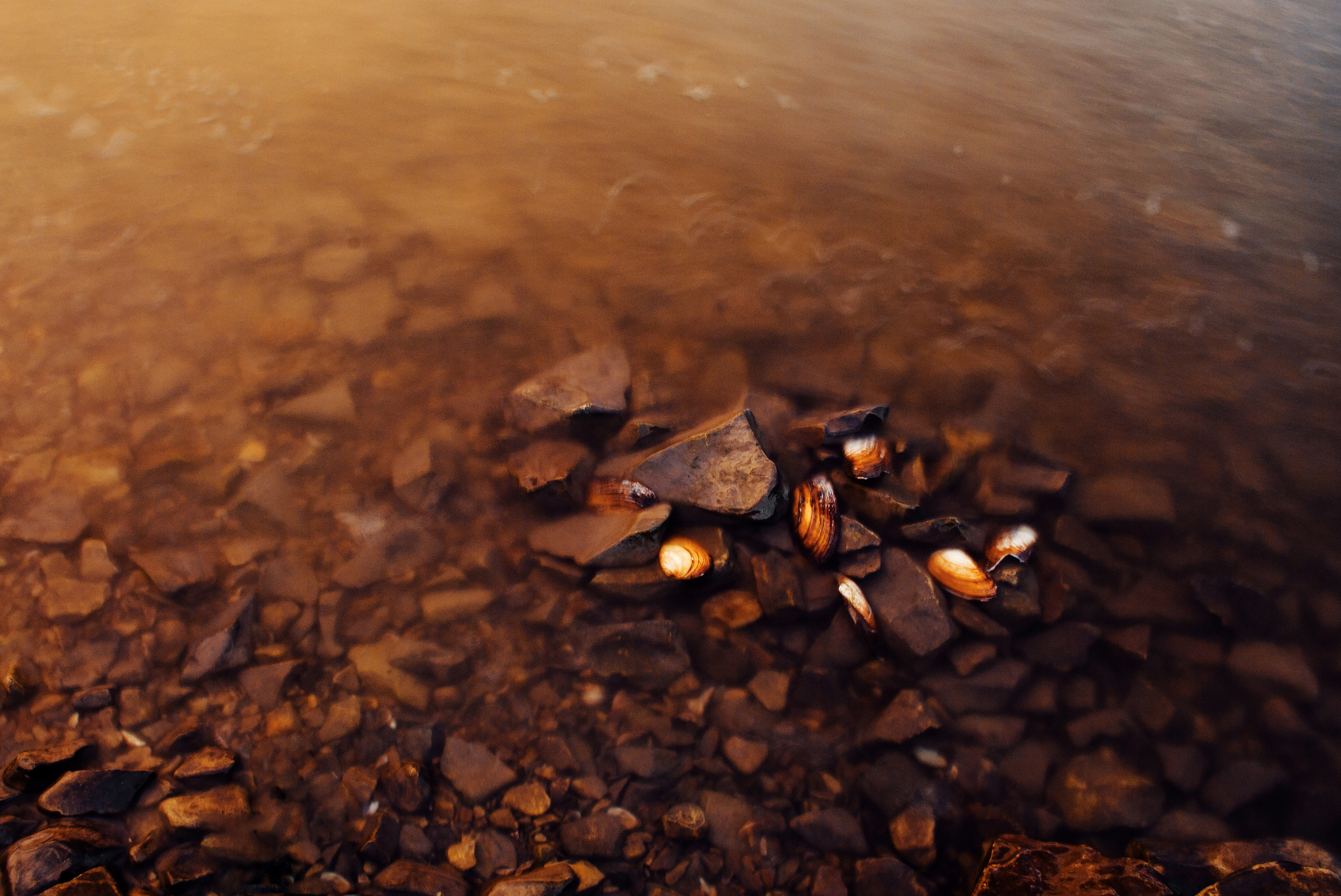 Природа. Фотограф Таинства Крещения в Саратове Ильченко Артем