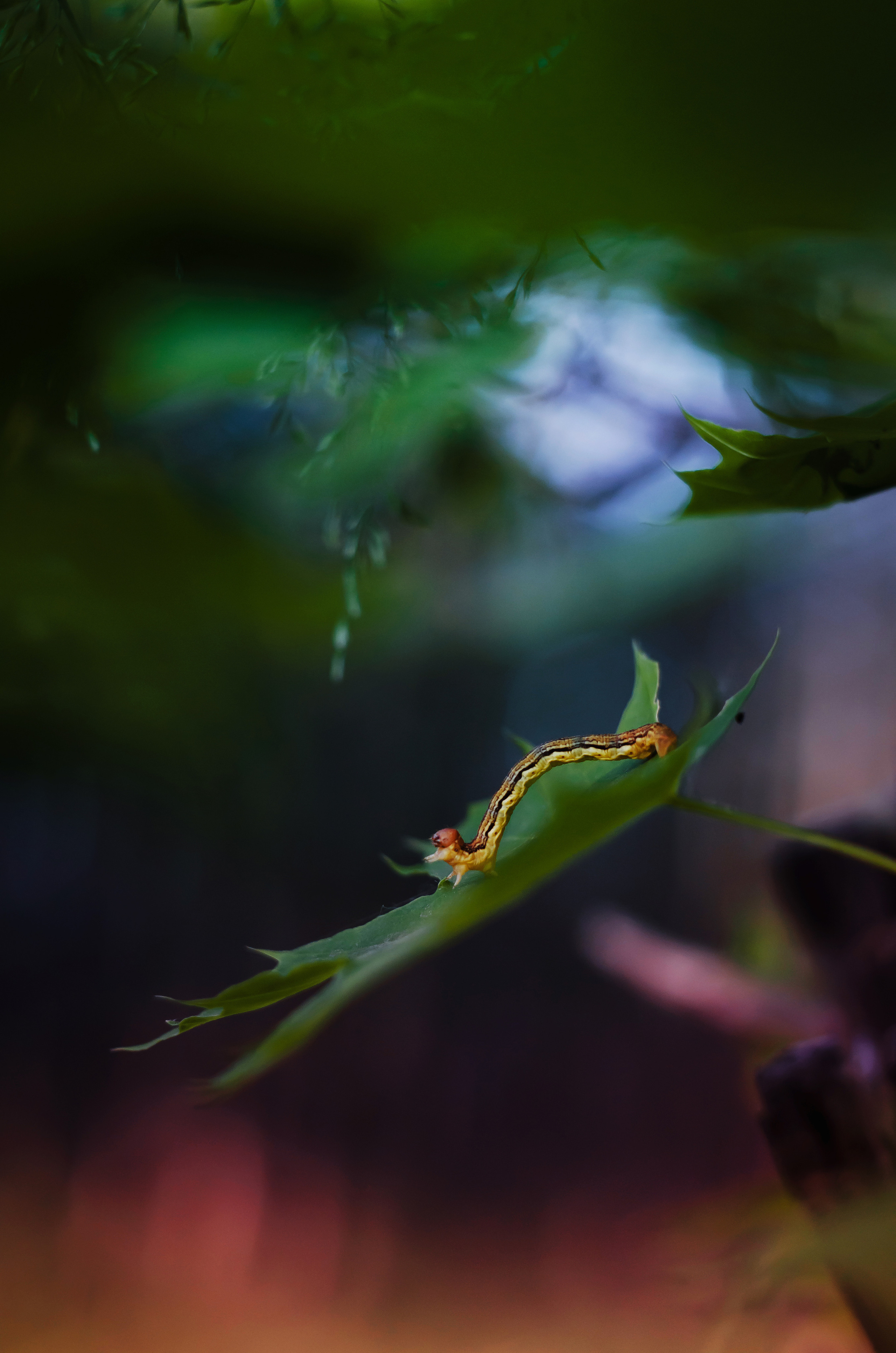 Природа. Фотограф Таинства Крещения в Саратове Ильченко Артем