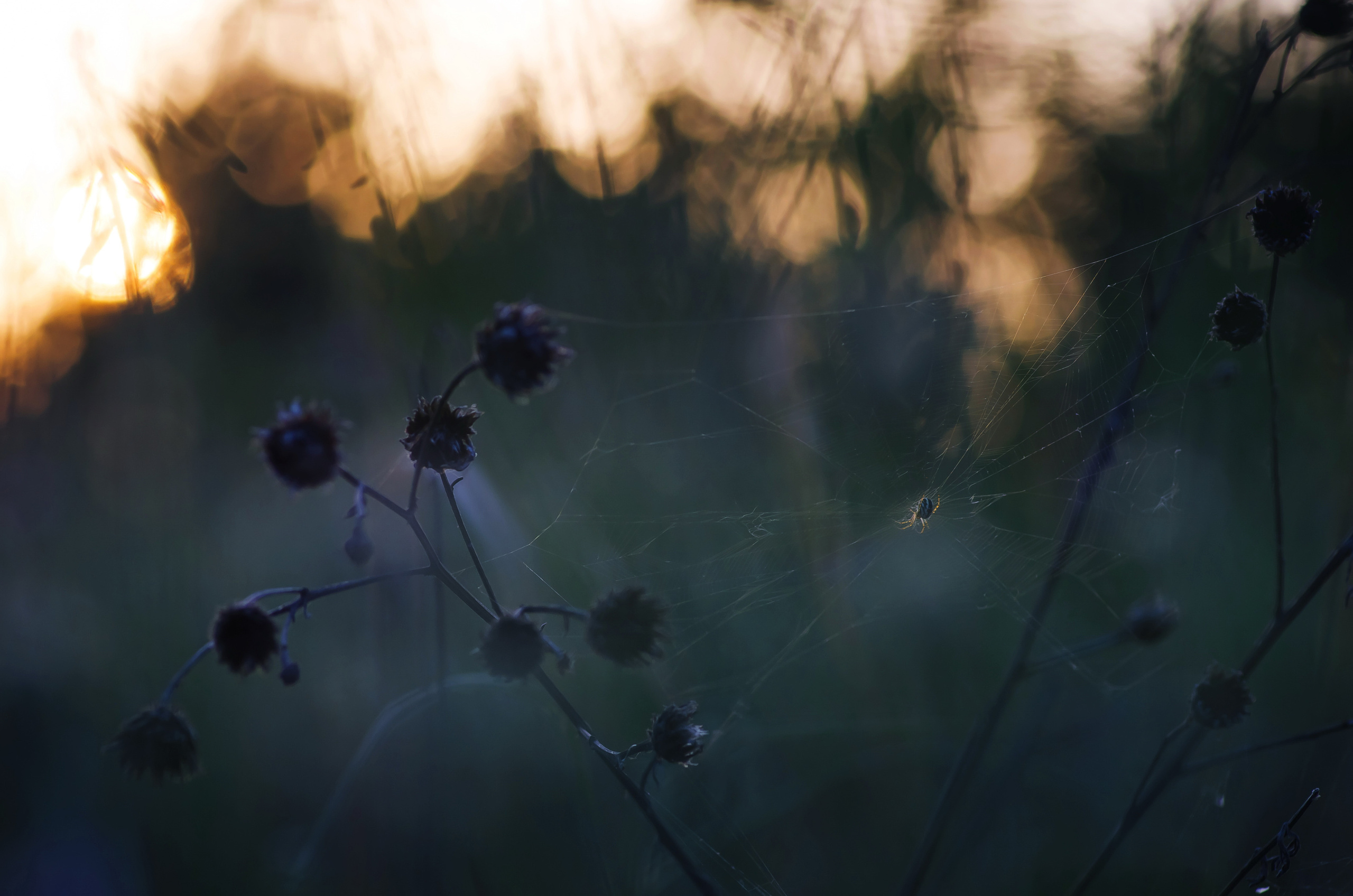 Природа. Фотограф Таинства Крещения в Саратове Ильченко Артем