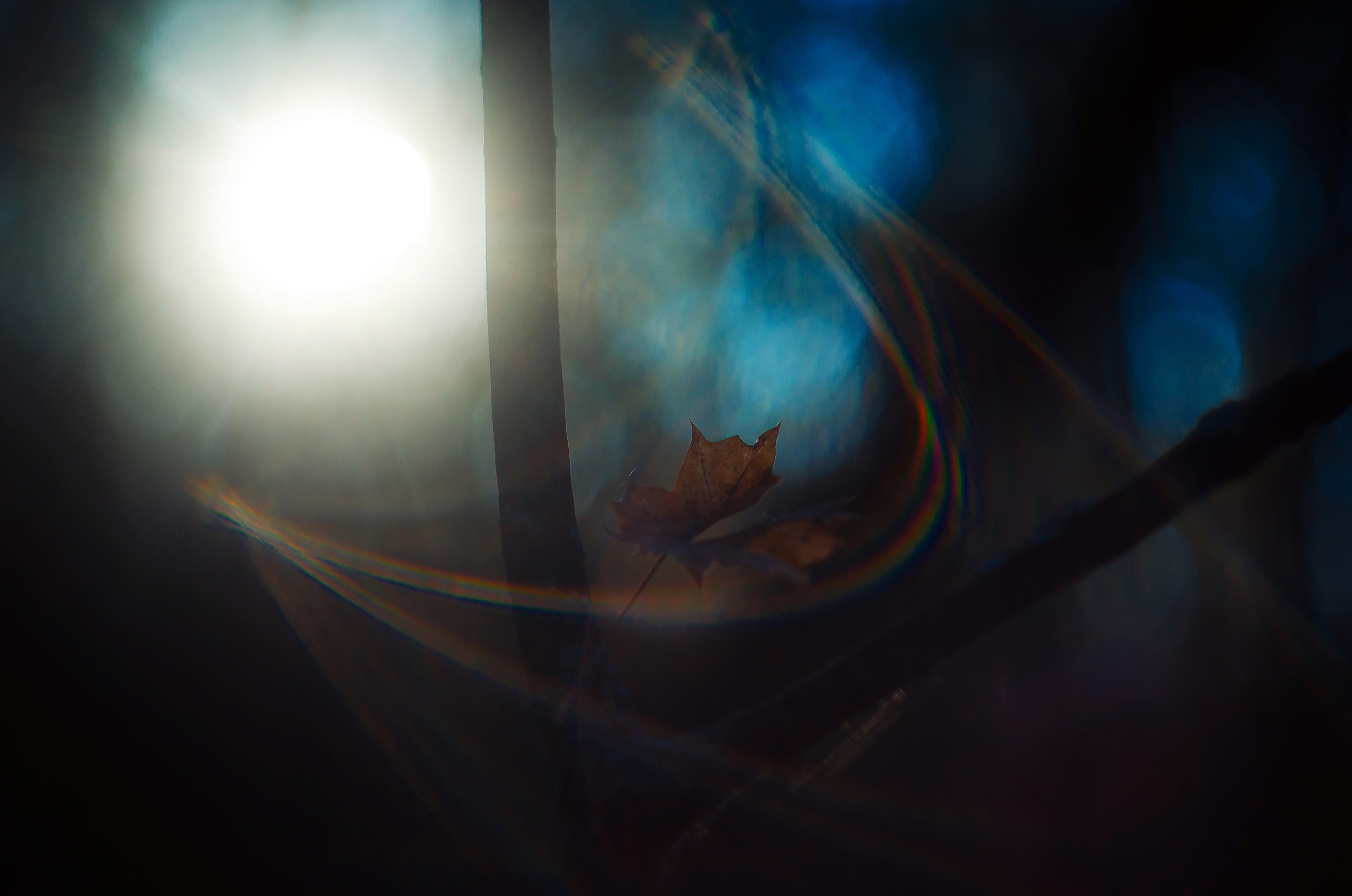 Природа. Фотограф Таинства Крещения в Саратове Ильченко Артем