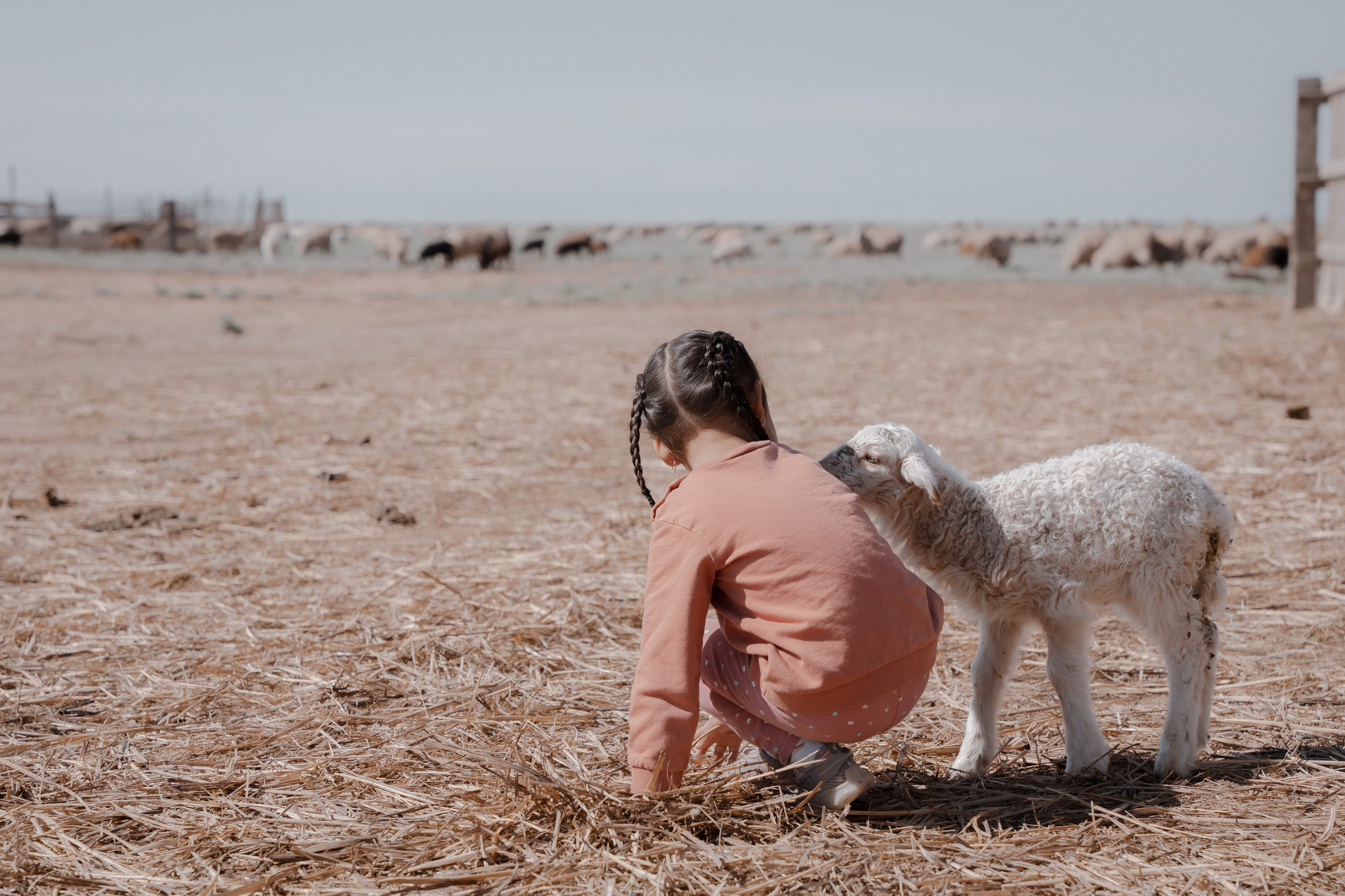 Калмыкия I Май 2024. Commercial photographer Natalia Bychkova