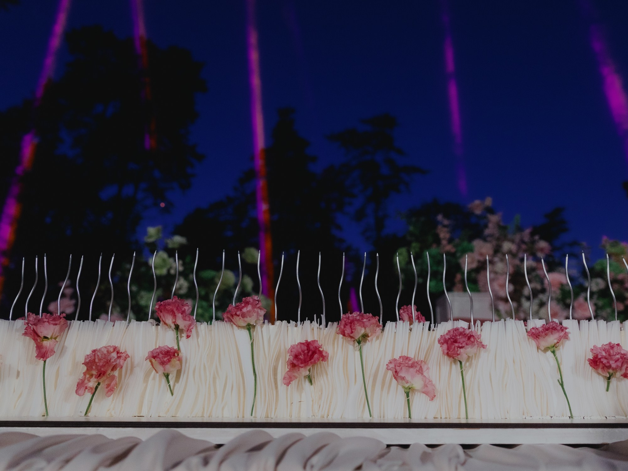 Екатерина и Николай (полный день). Свадебные фотографы в Гомеле и Минске Сергей и Анастасия Фещенок