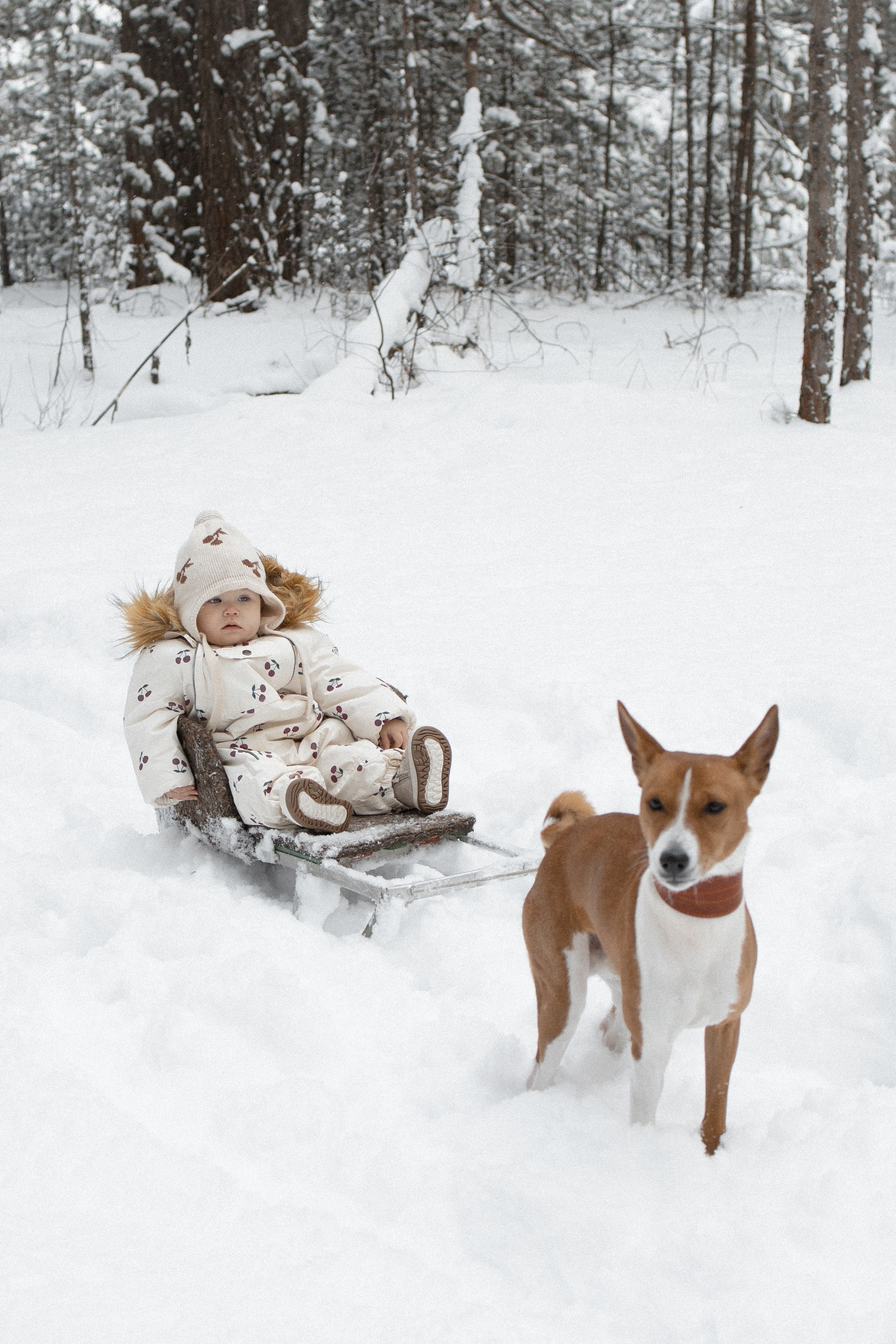 Семья Куркиных | 2026