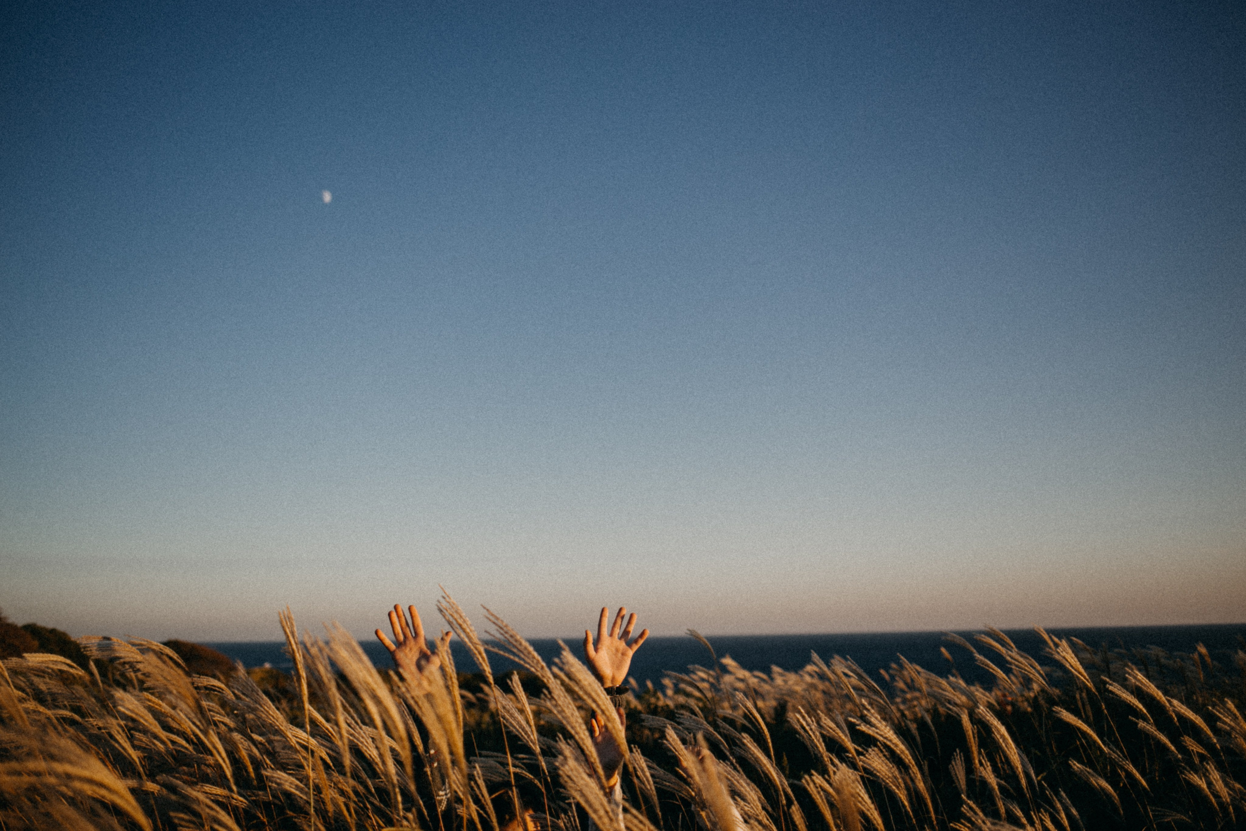С тобой хоть на край света…. Свадебный и семейный фотограф во Владивостоке Овчинникова Дарья