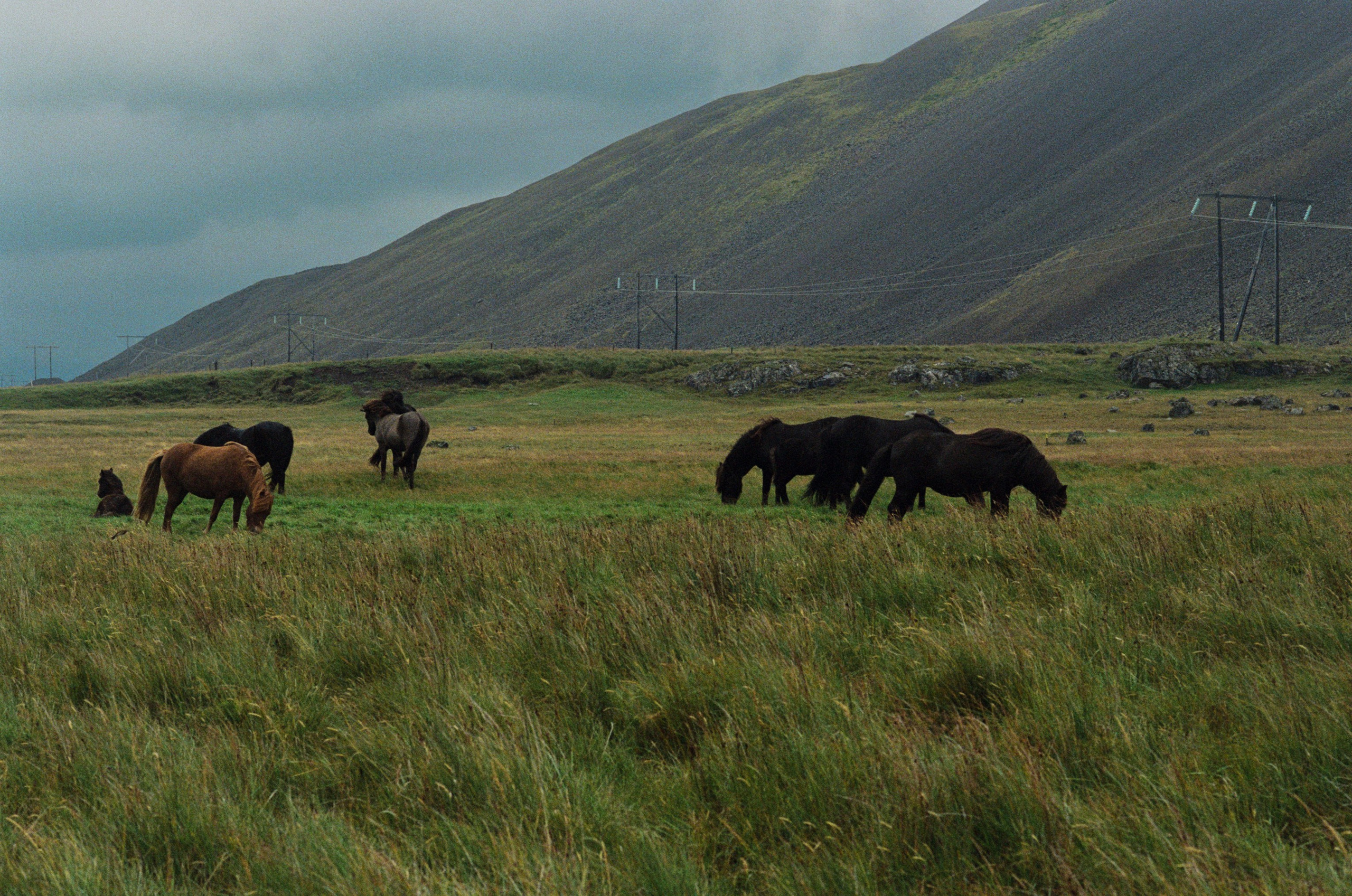 I of the storm // iceland, stokksnes. EVER EXPOSED