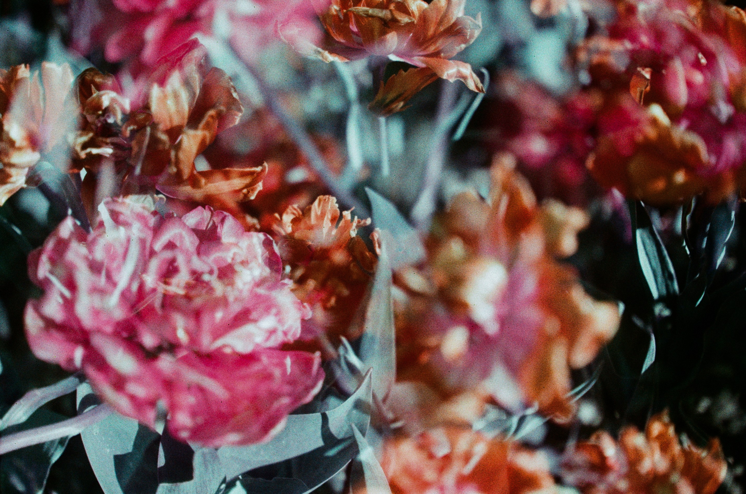 Press enter to exit // ukraine, crimea VIII. EVER EXPOSED