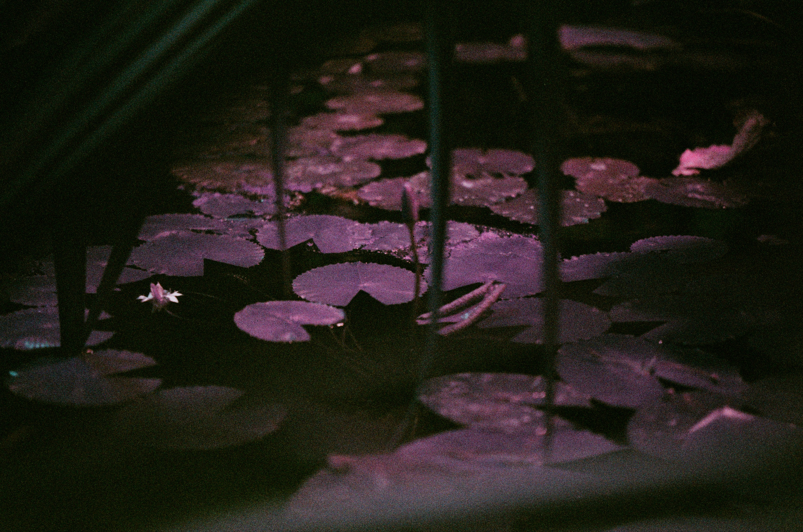 If i get high II. EVER EXPOSED