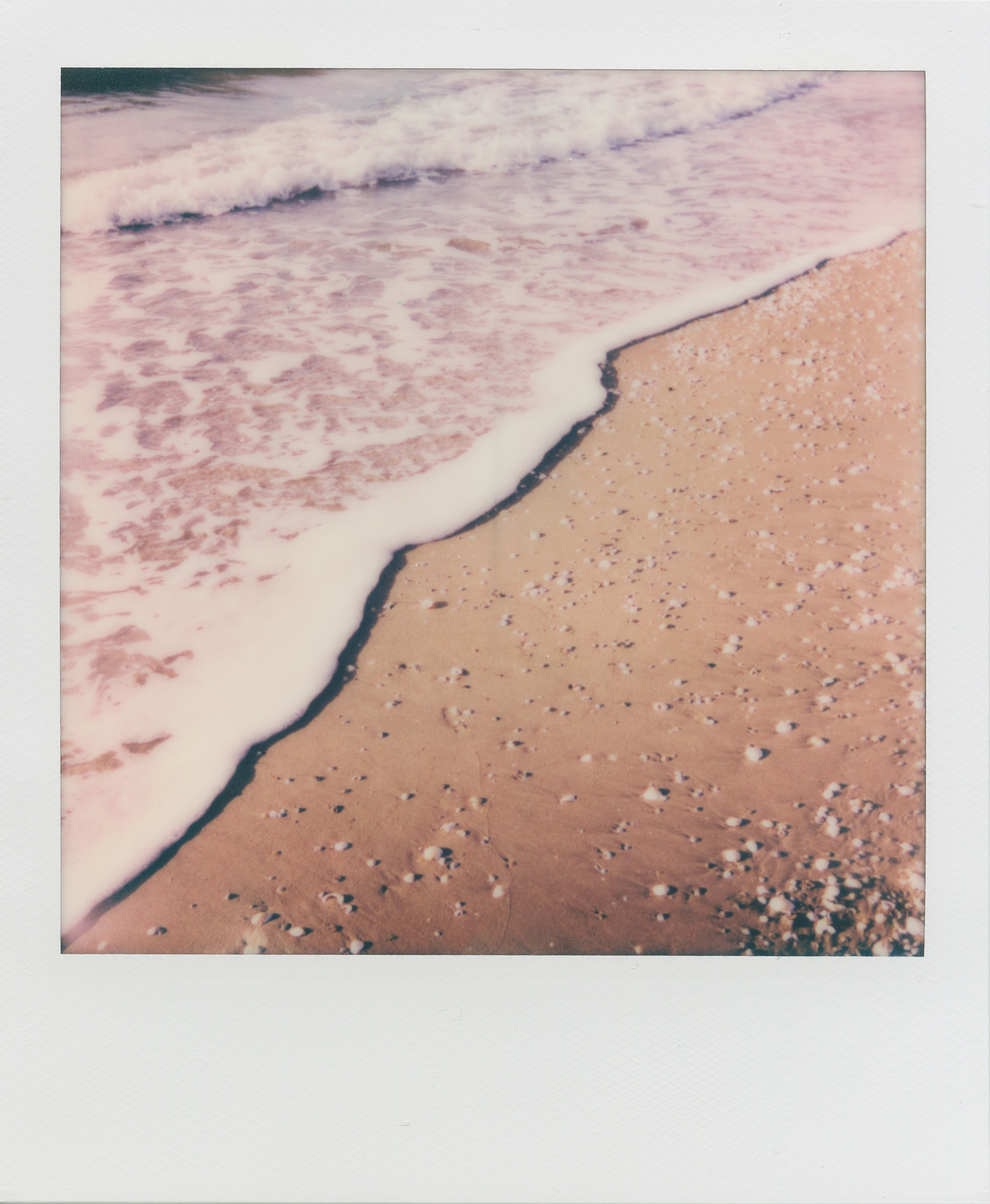 POLAROID. EVER EXPOSED