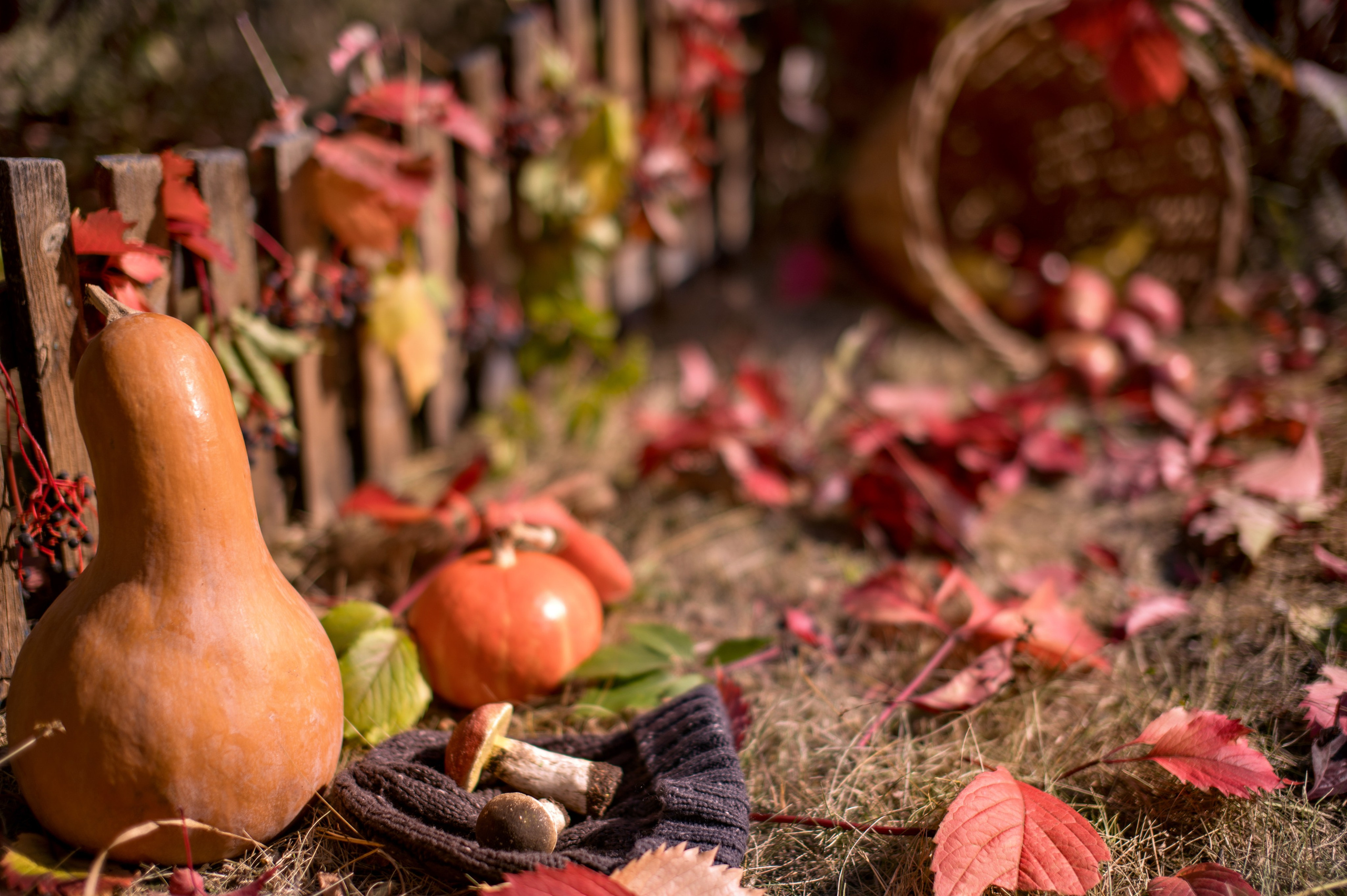 Дети. Фотограф Духина Наташа