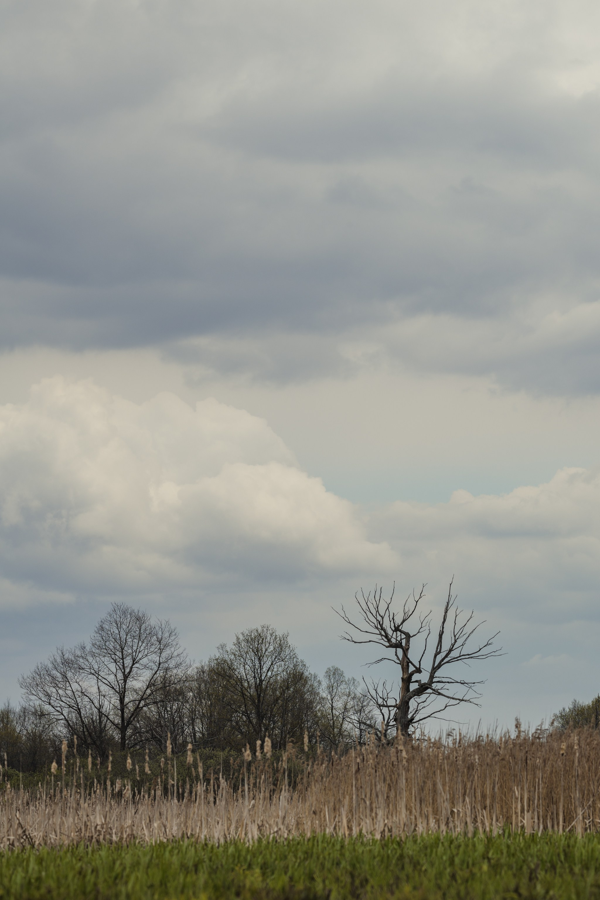 Водный поход 1-й кс по реке Случь. Репортажный фотограф Владимир Беляй