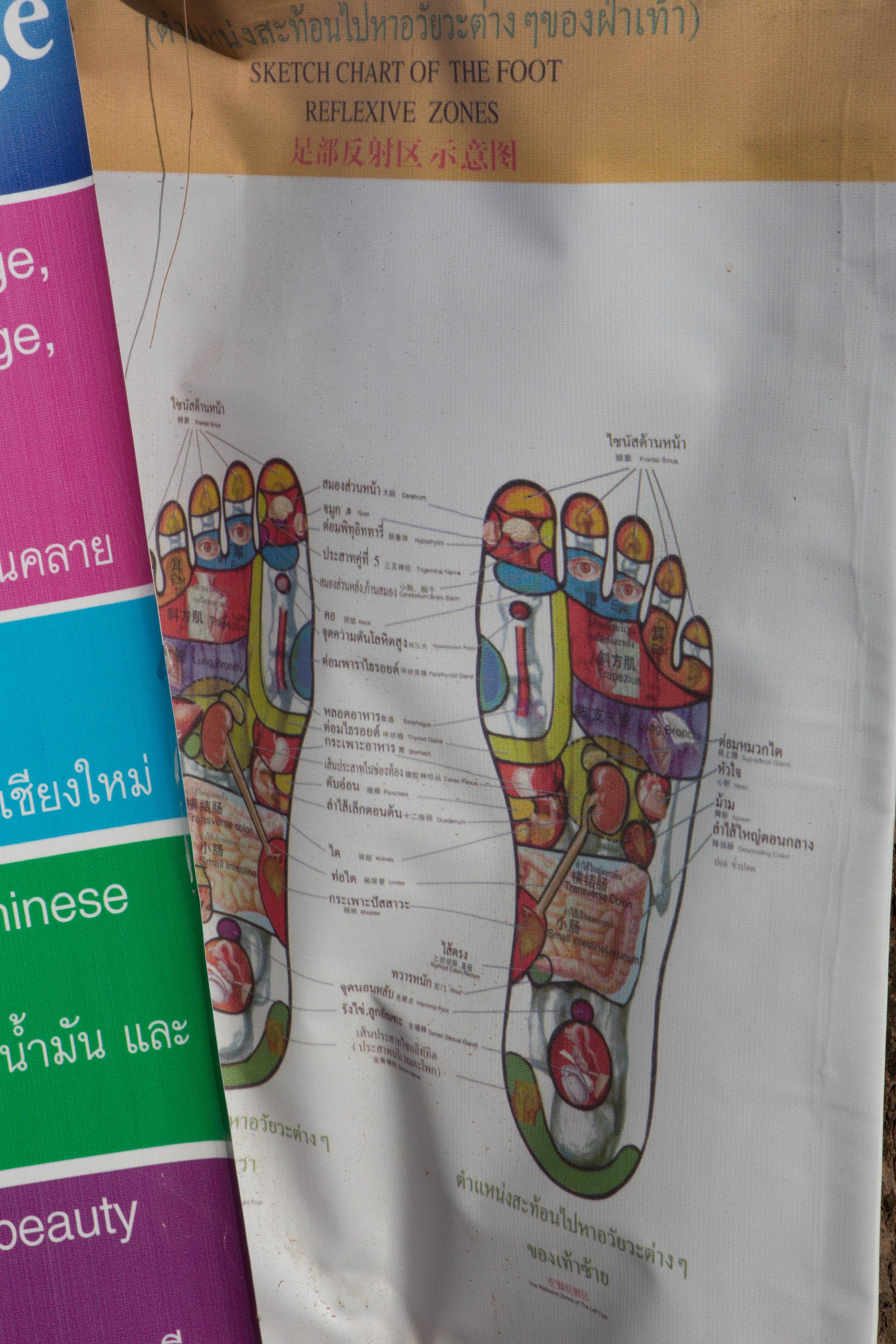 Фото Тайланда. Студия Максима Белослюдцева