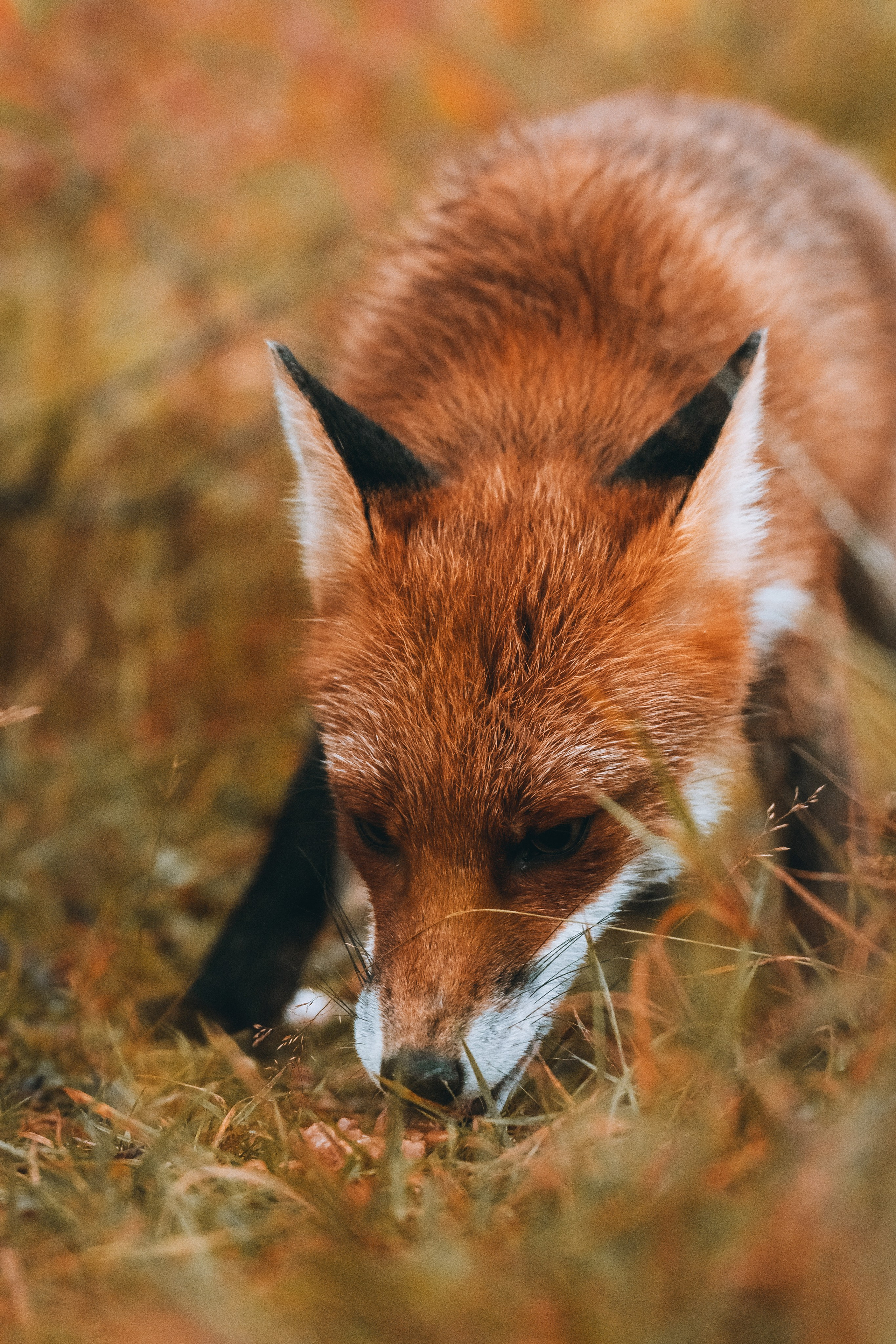 СЕВЕР. Event фотограф Степанова Александра