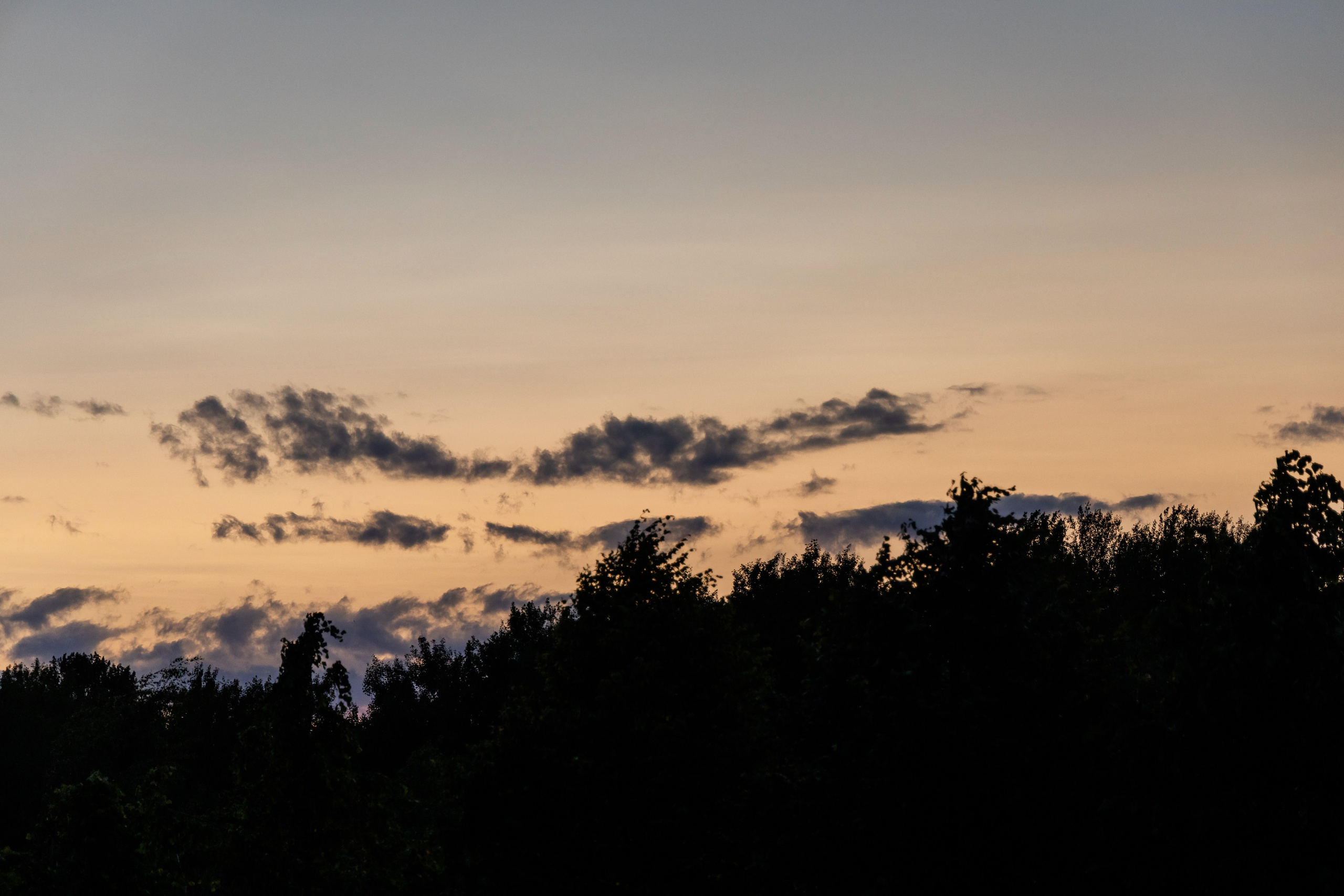 Школьный выпускной 2025 год в Минске, Беларуси. Свадебный фотограф в Минске/Беларуси Сергей Спиридонов