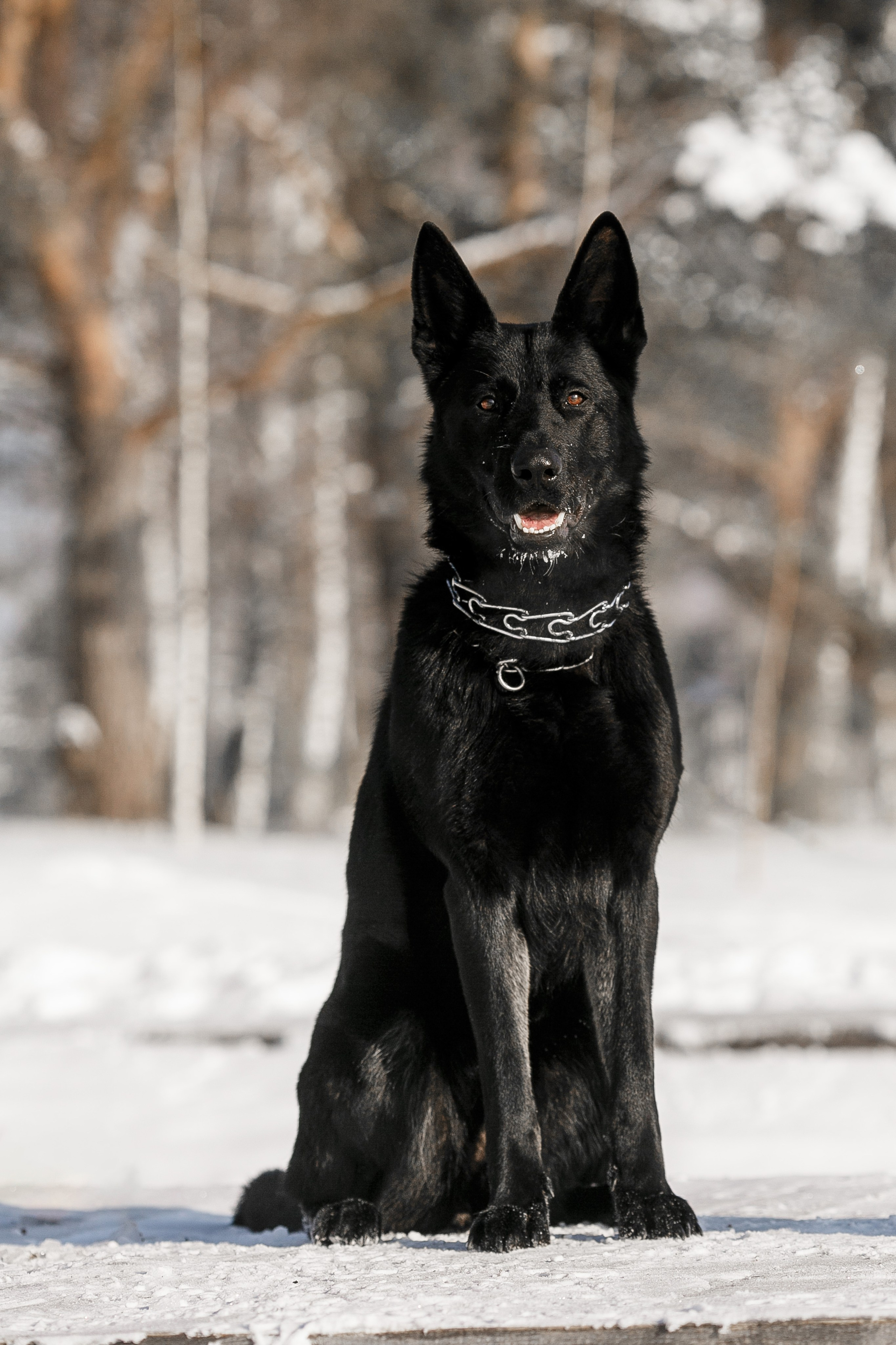 Репортажный фотограф Борис Геер