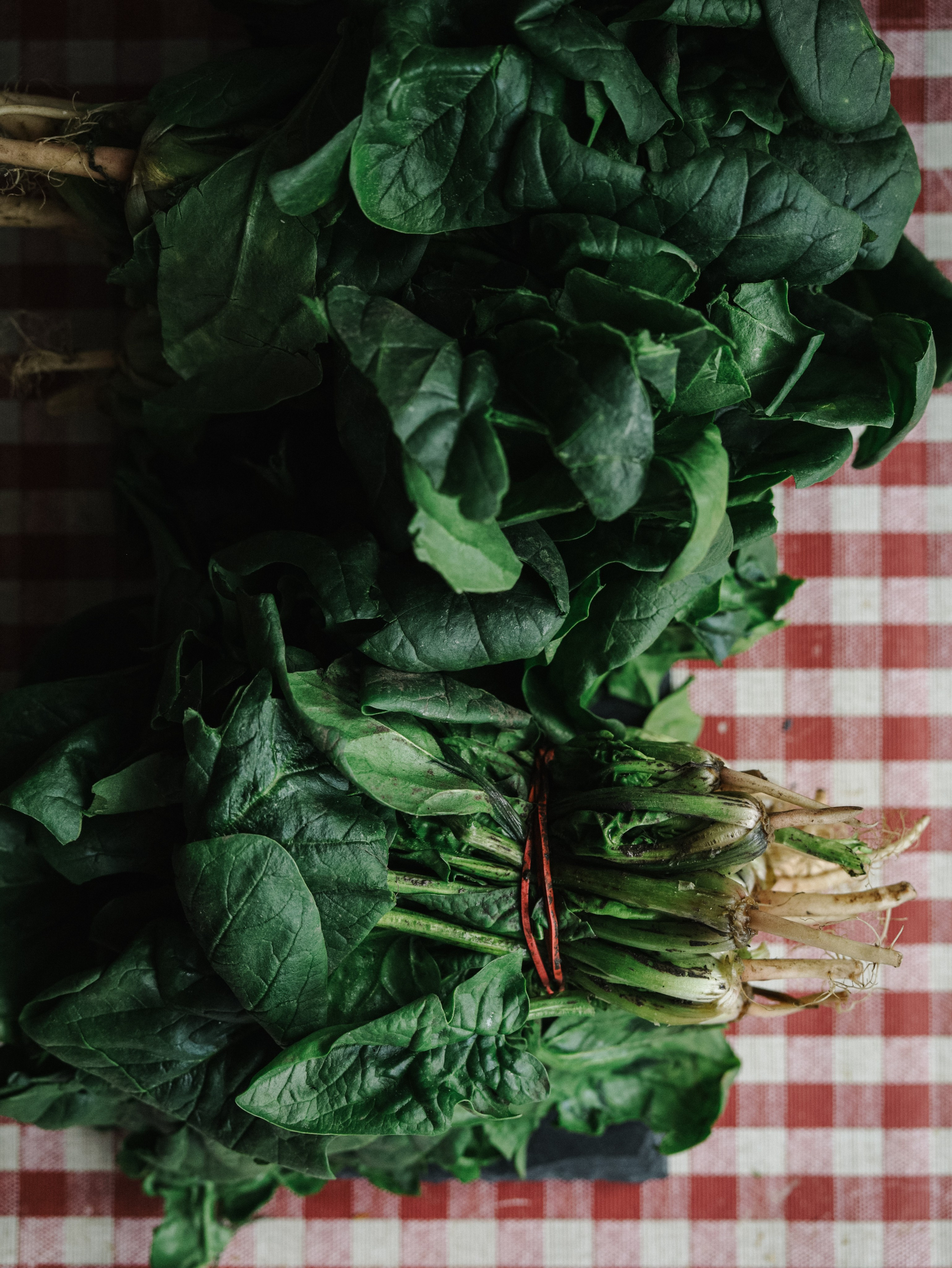 Food. Алёна Стерхова — Предметный и портретный фотограф. Ижевск