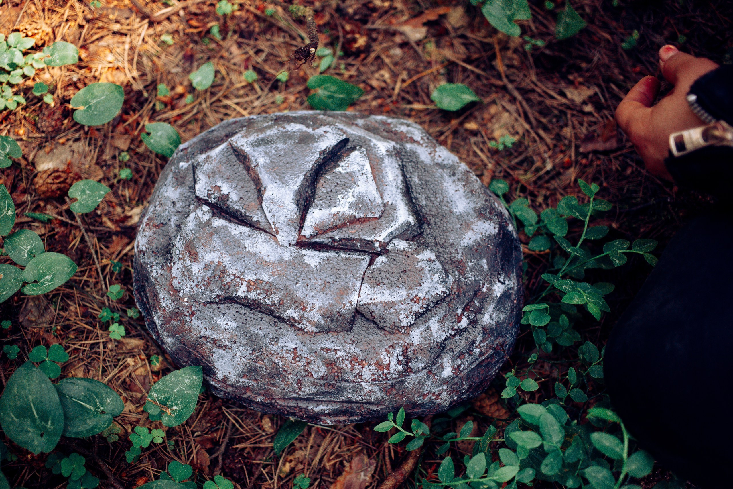 Запретный лес. Репортажный фотограф Анастасия Головко