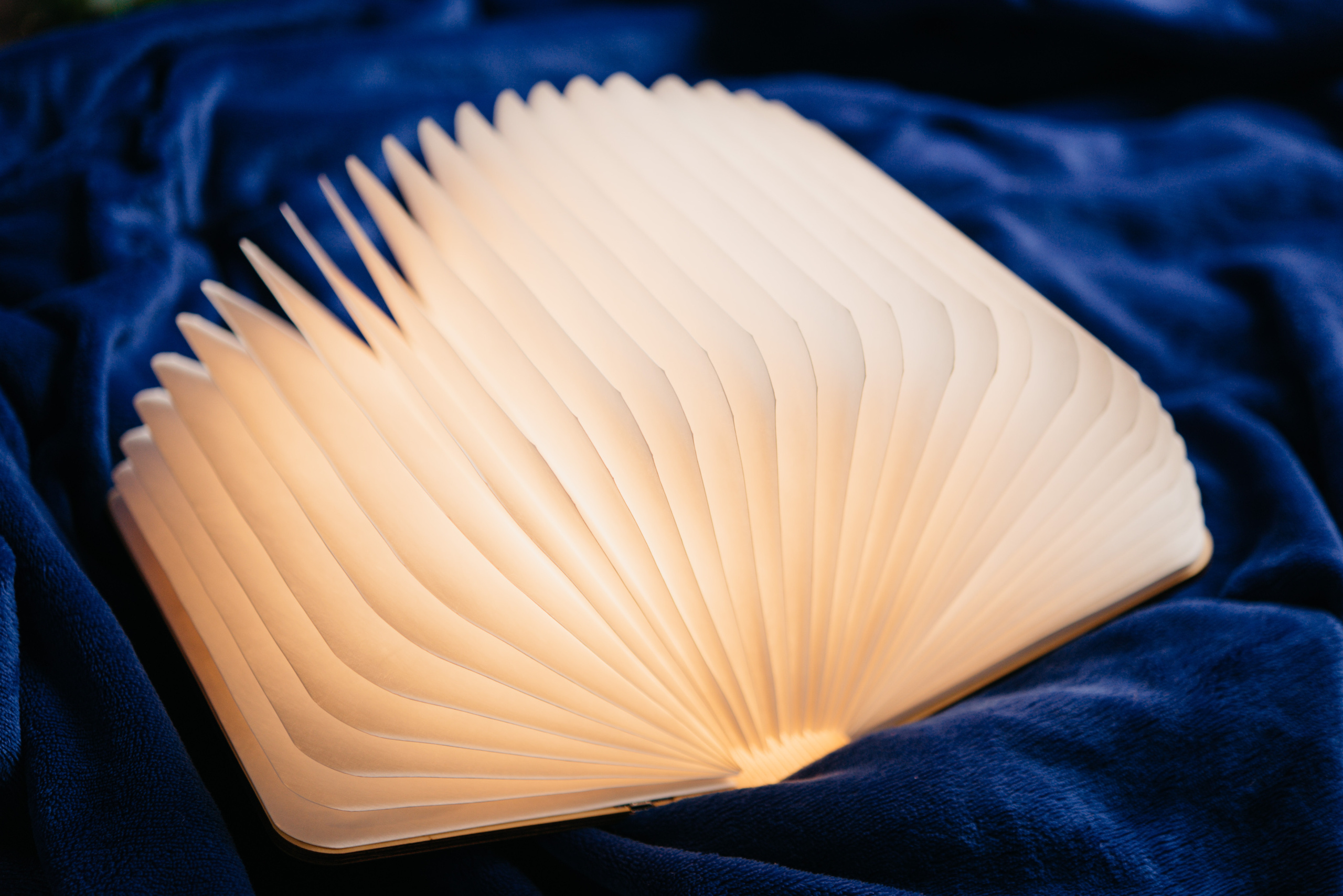 Реквизит. Анна Абрамкина душевный фотограф в Москве