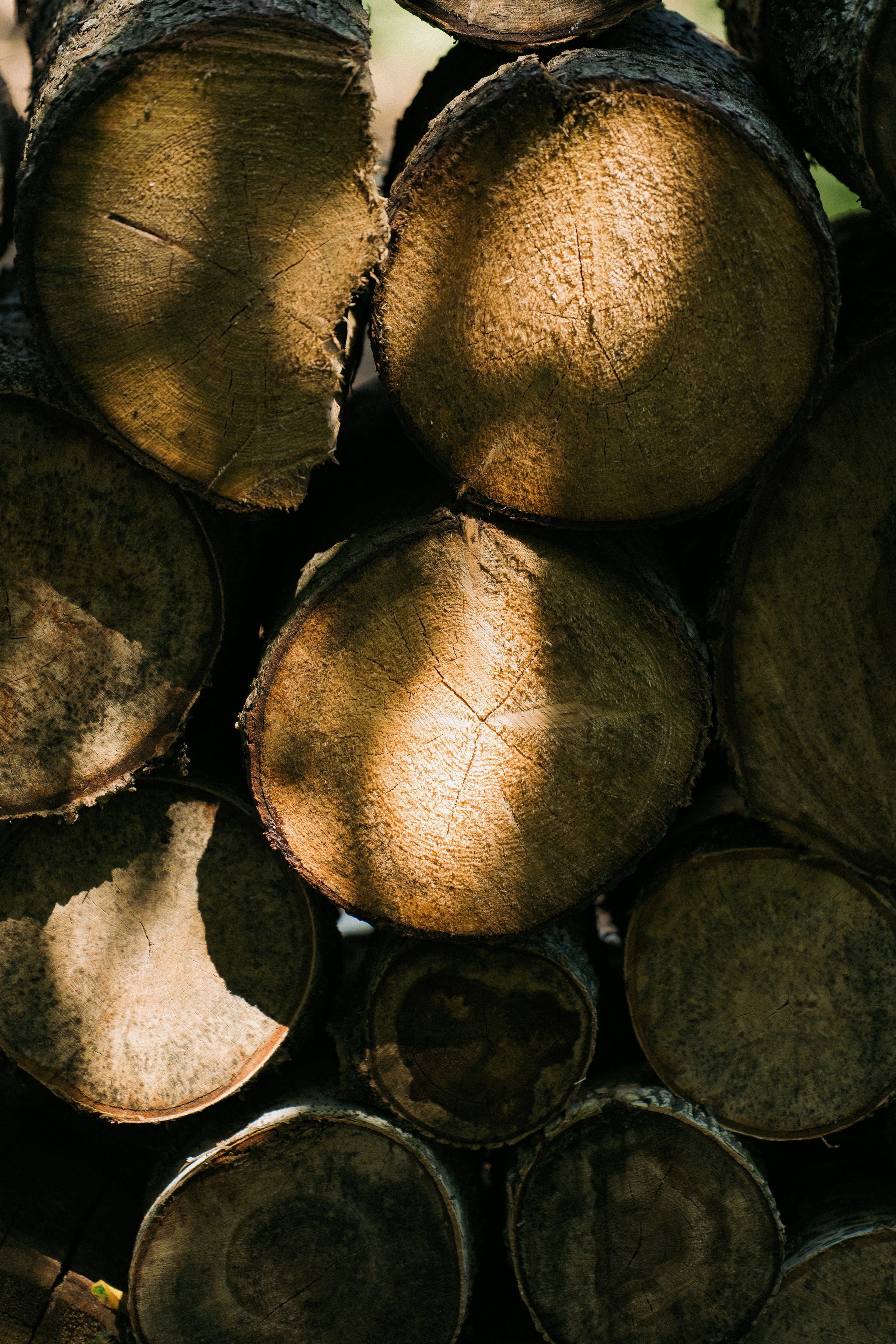 Смех, любовь и немного хаоса. Фотограф Евстигнеев Илья