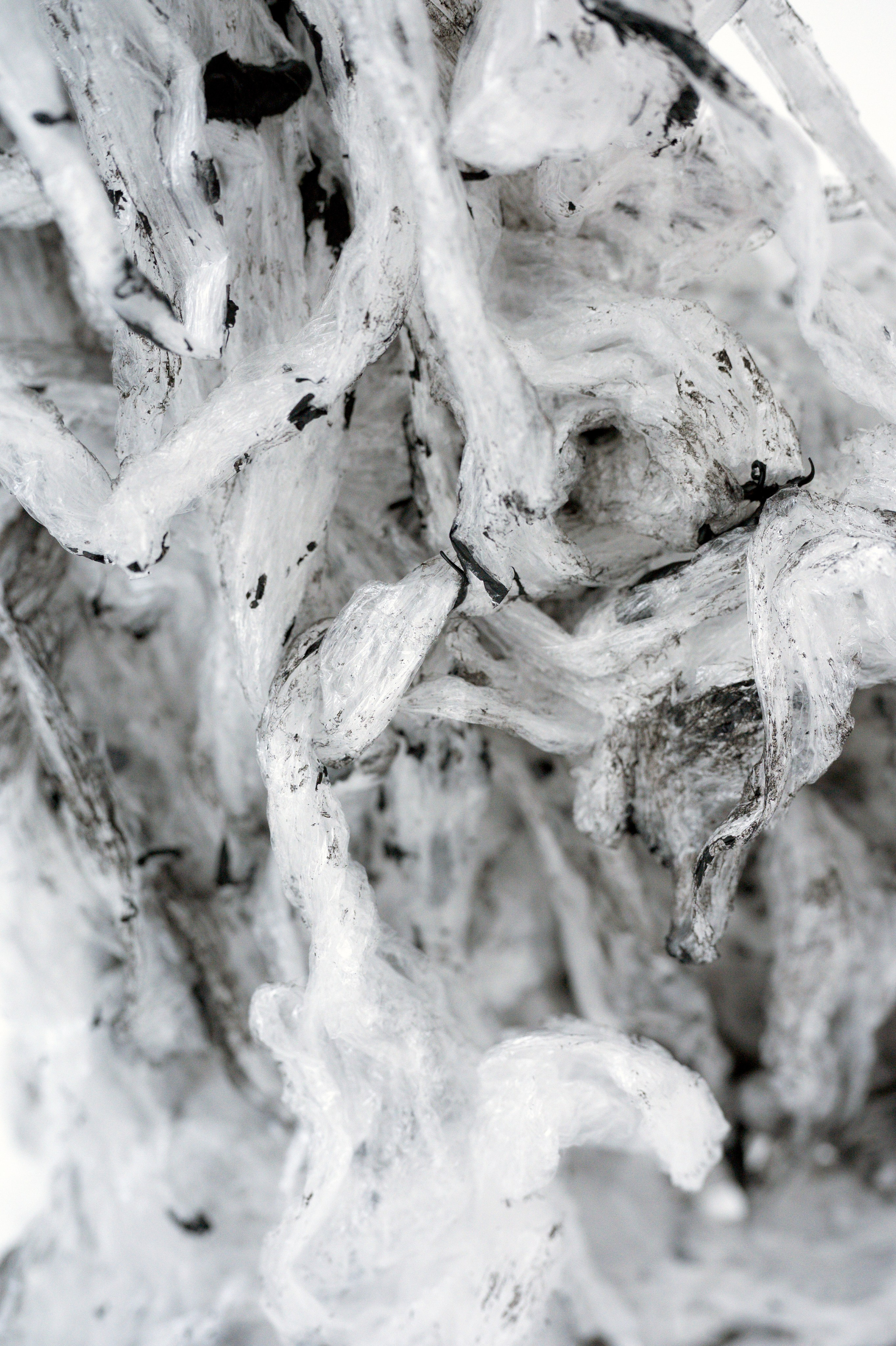 Фотосессия художника и его работ. Фотограф Юлия Кондратьева