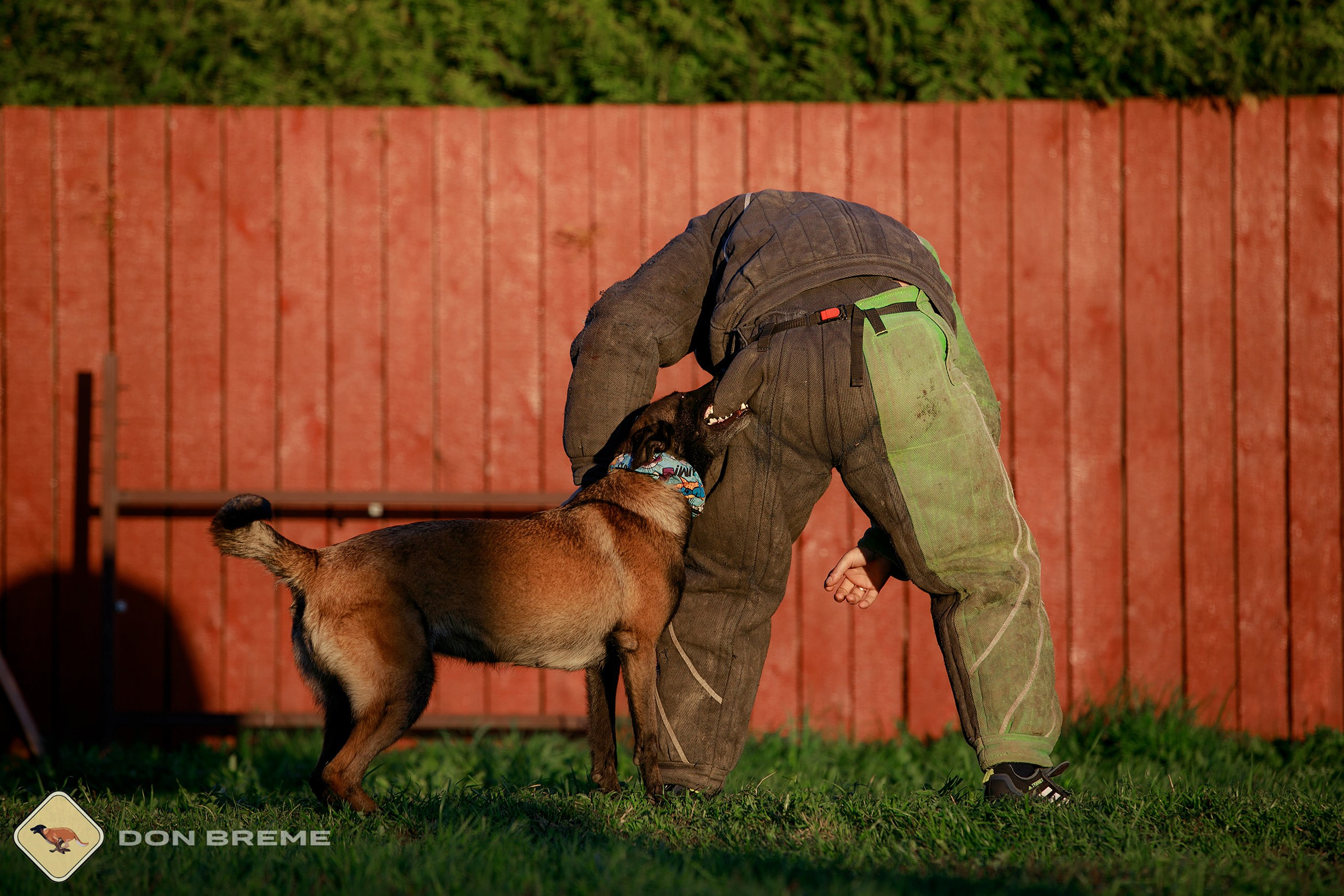 Семинар для фигурантов, день 3. Фотограф-анималист Mary Mart — Москва, Питер